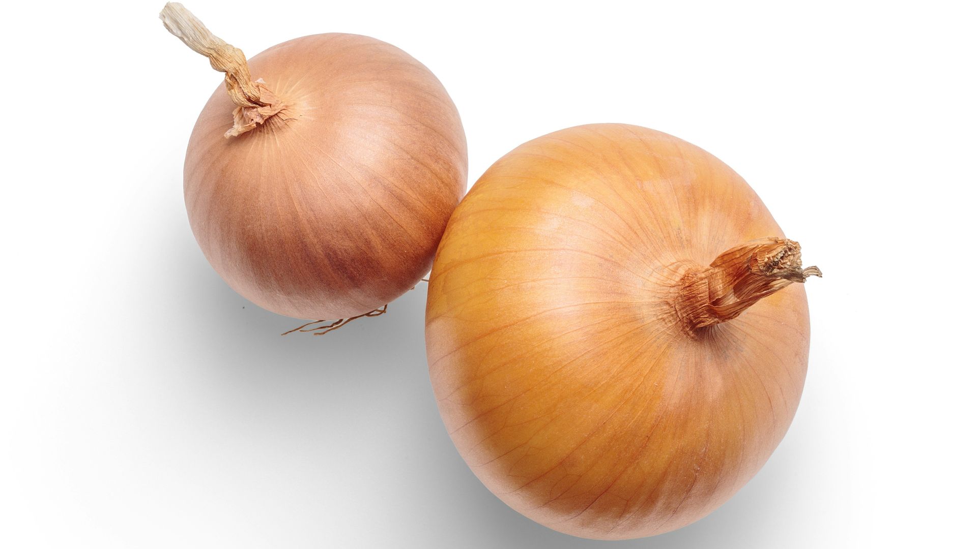 18. Oignons