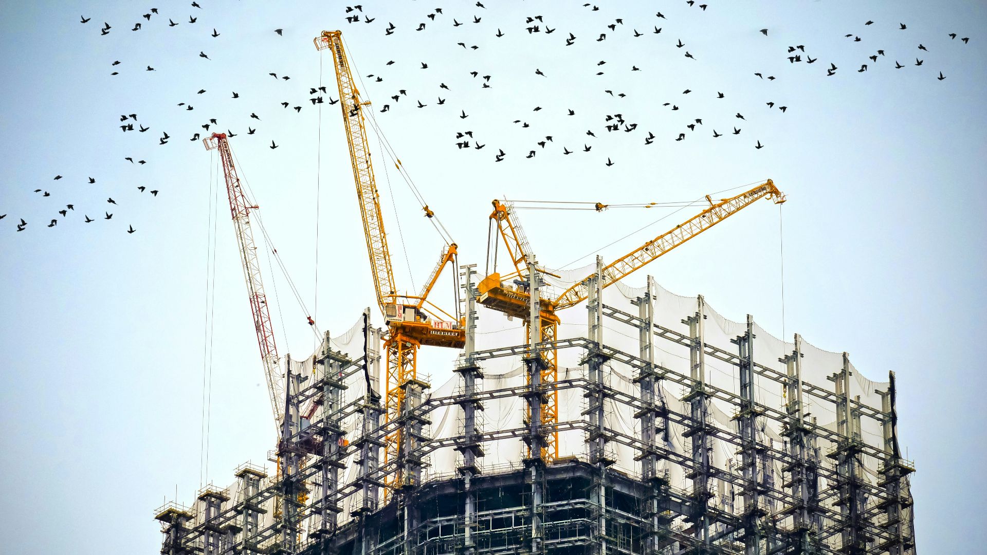 20. Règlements de construction