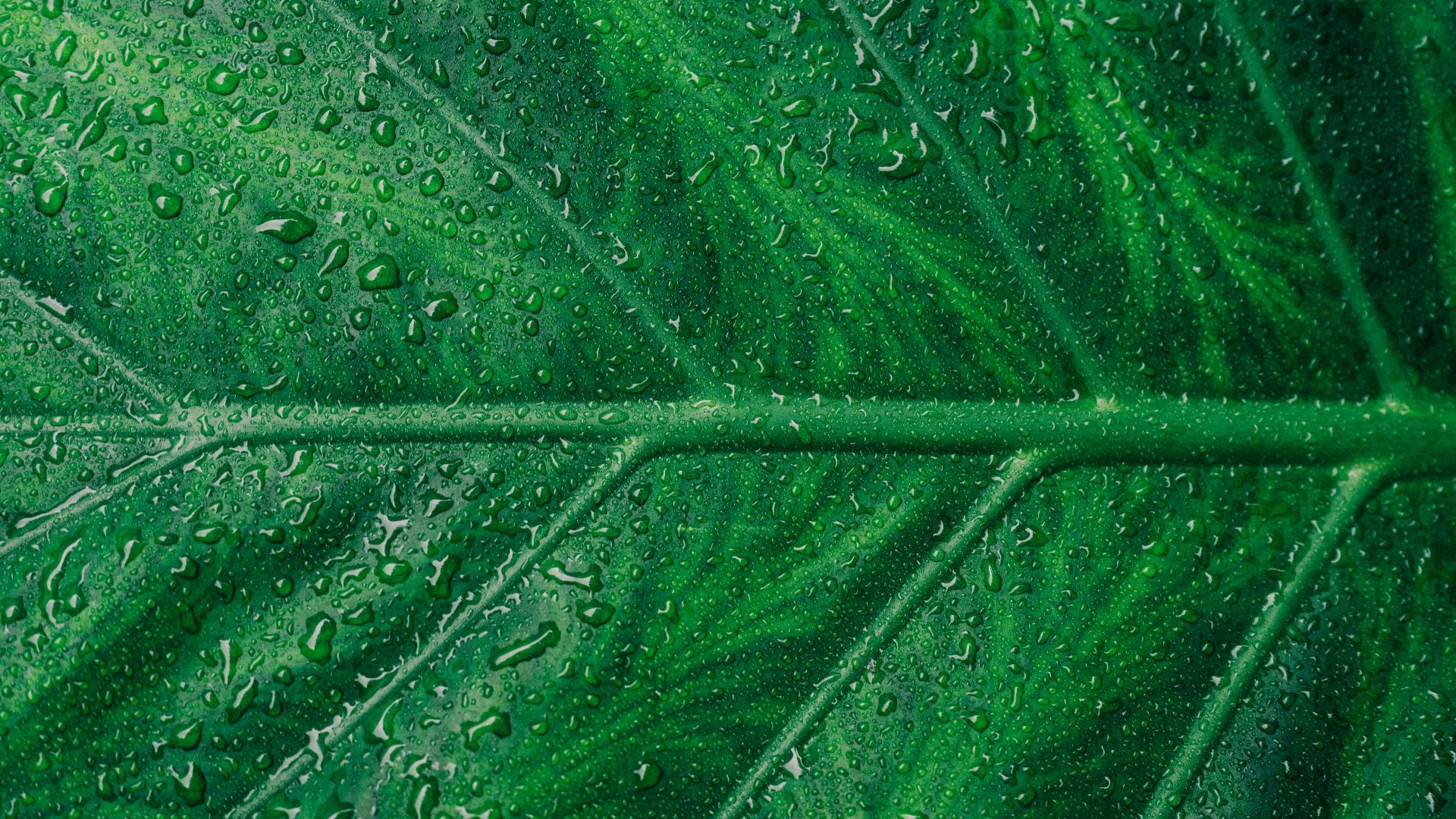 16. Ils vous aident à repérer le greenwashing