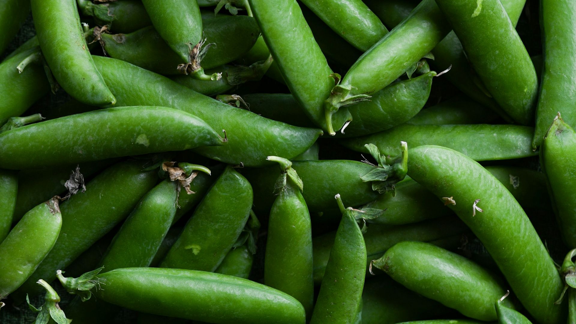 10. Petits pois au beurre