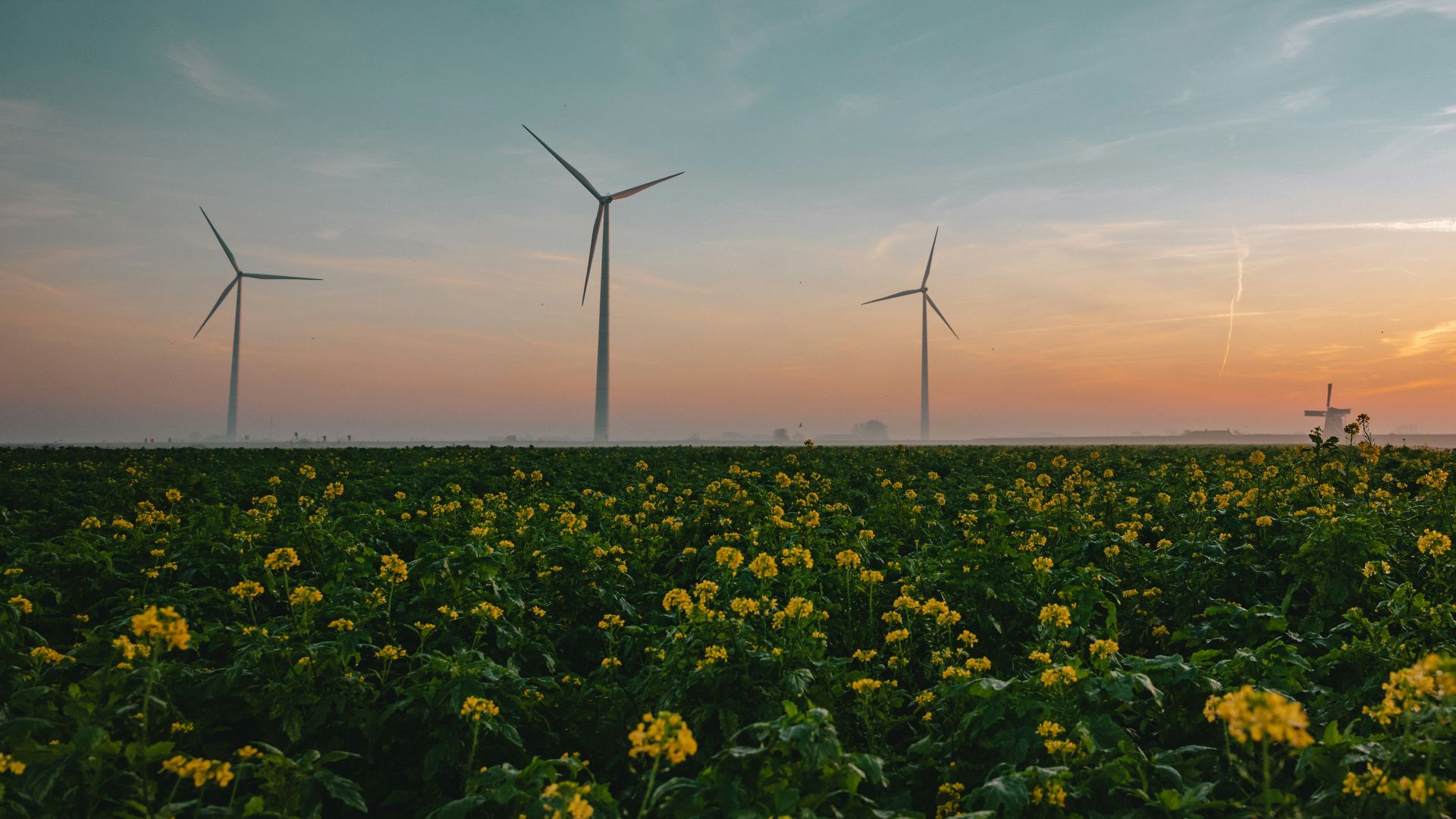 13. Initiatives en faveur d'un espace de travail respectueux de l'environnement