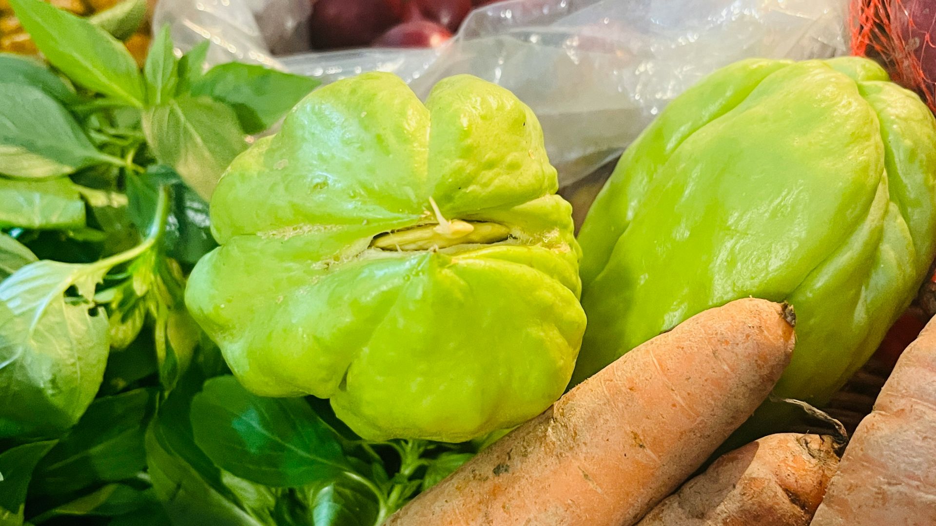 9. Chayote