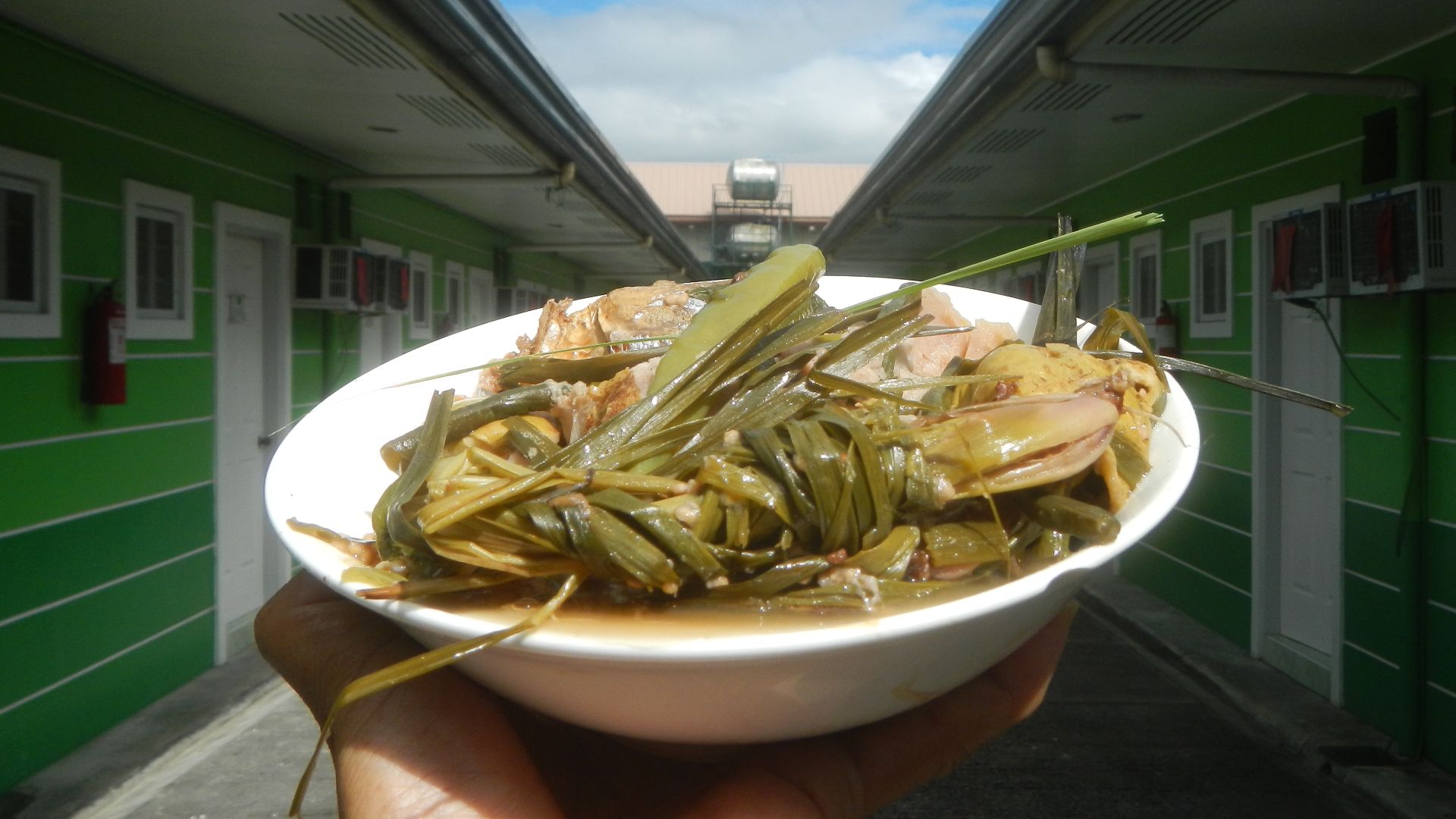 8. Haricots verts