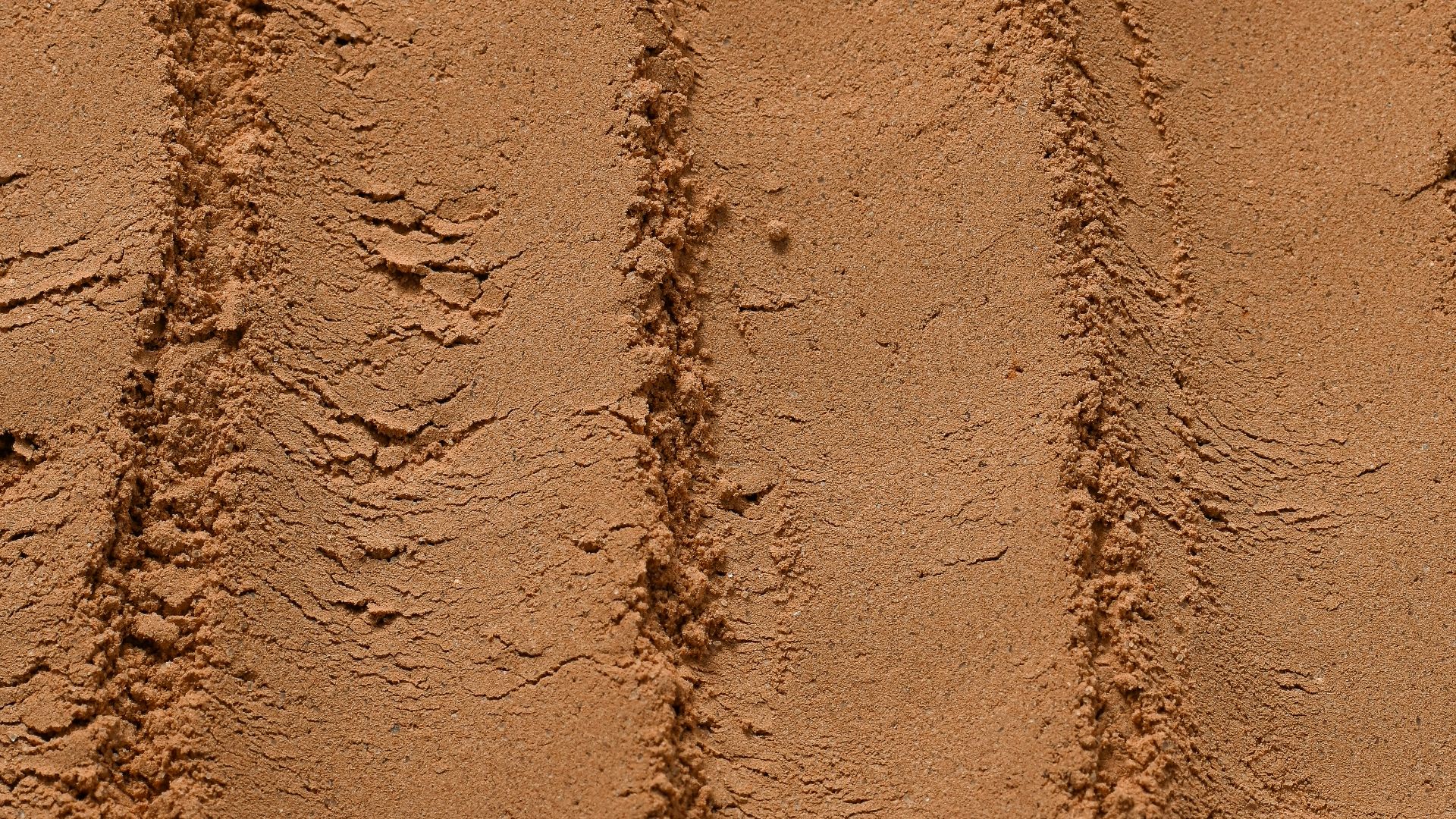 12. Ajoutez du cacao en poudre et un édulcorant