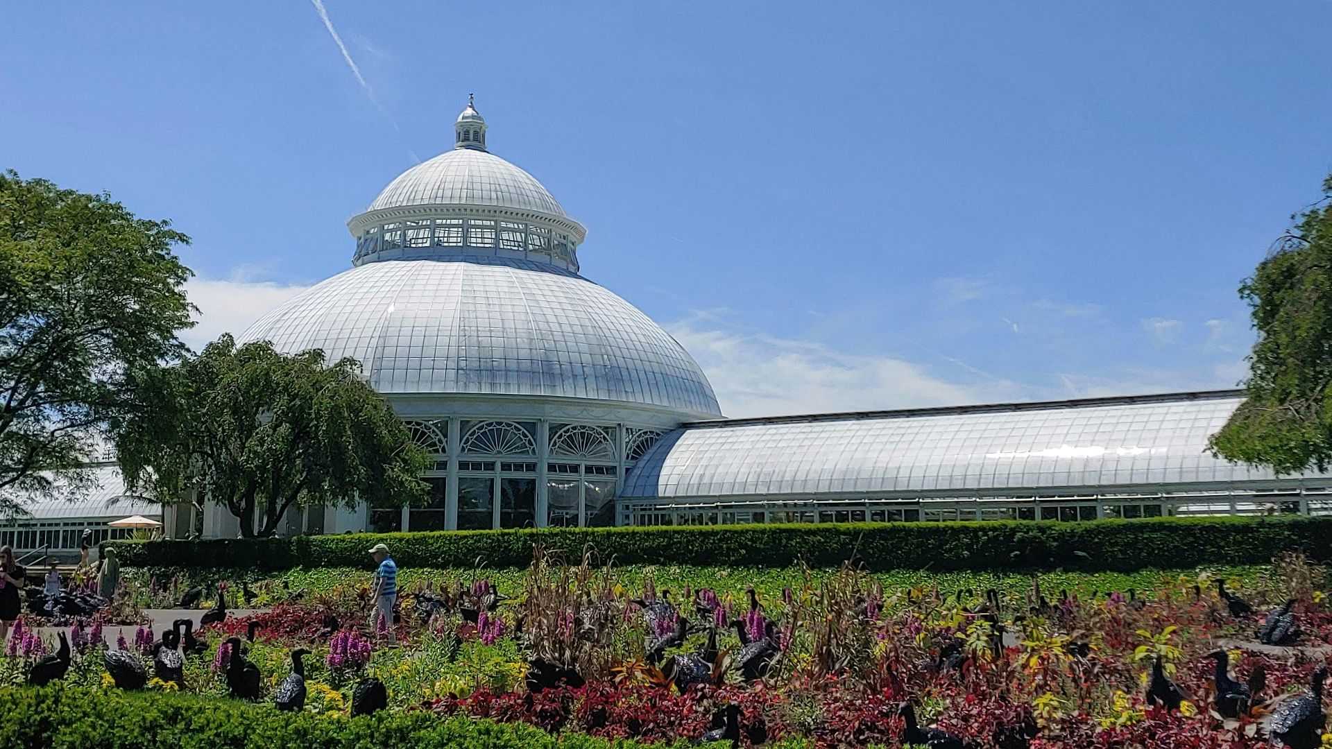 16. Visiter un jardin botanique
