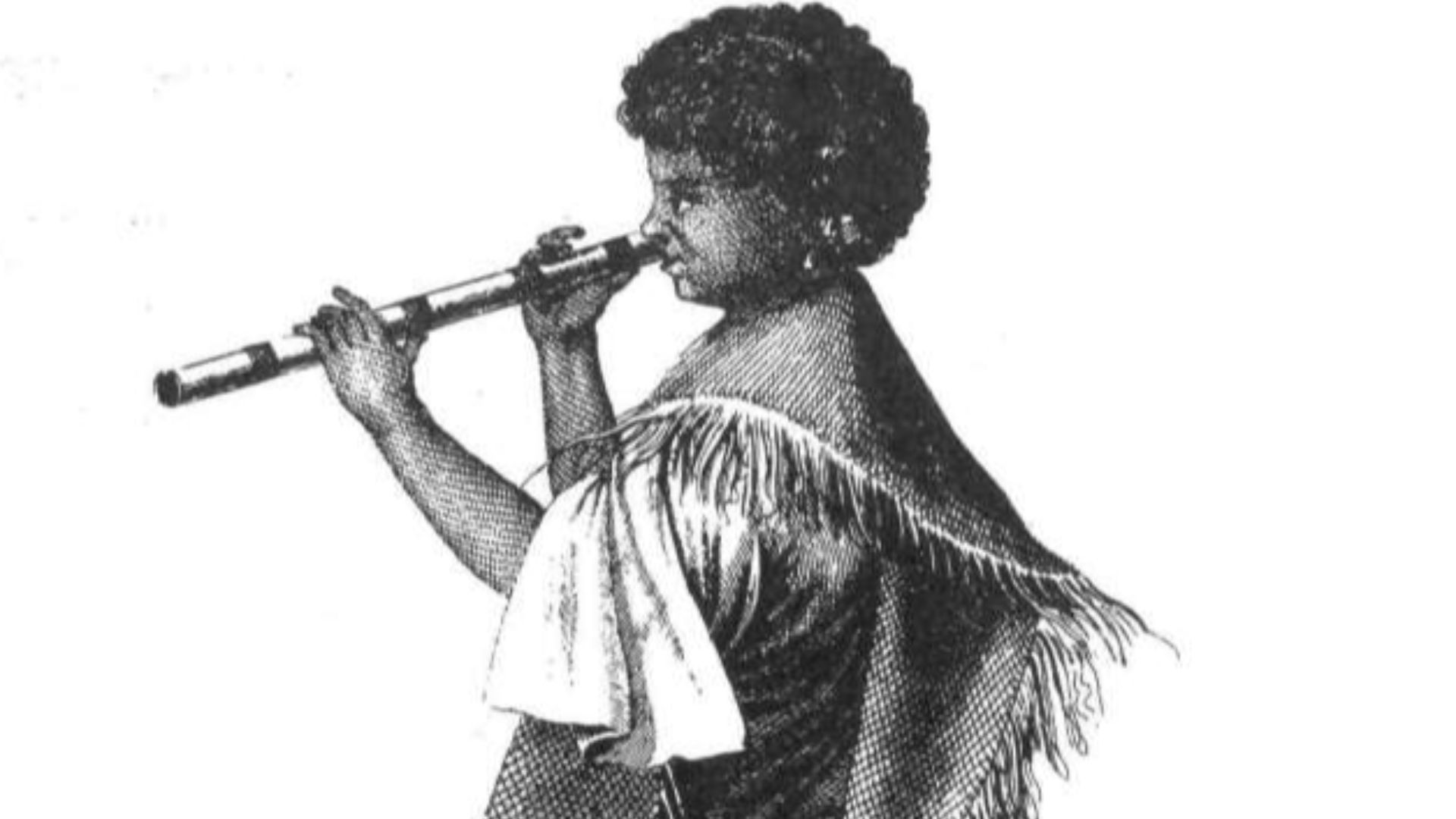 7. Le tupaia de Tahiti