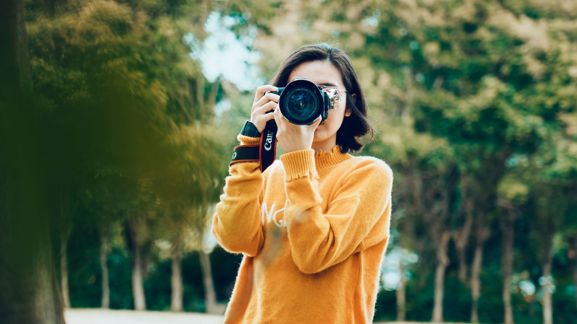 6. Photographie