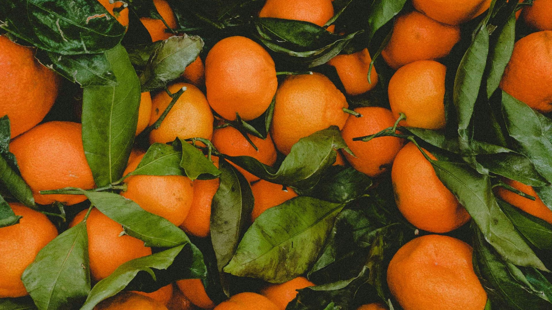 4. Oranges