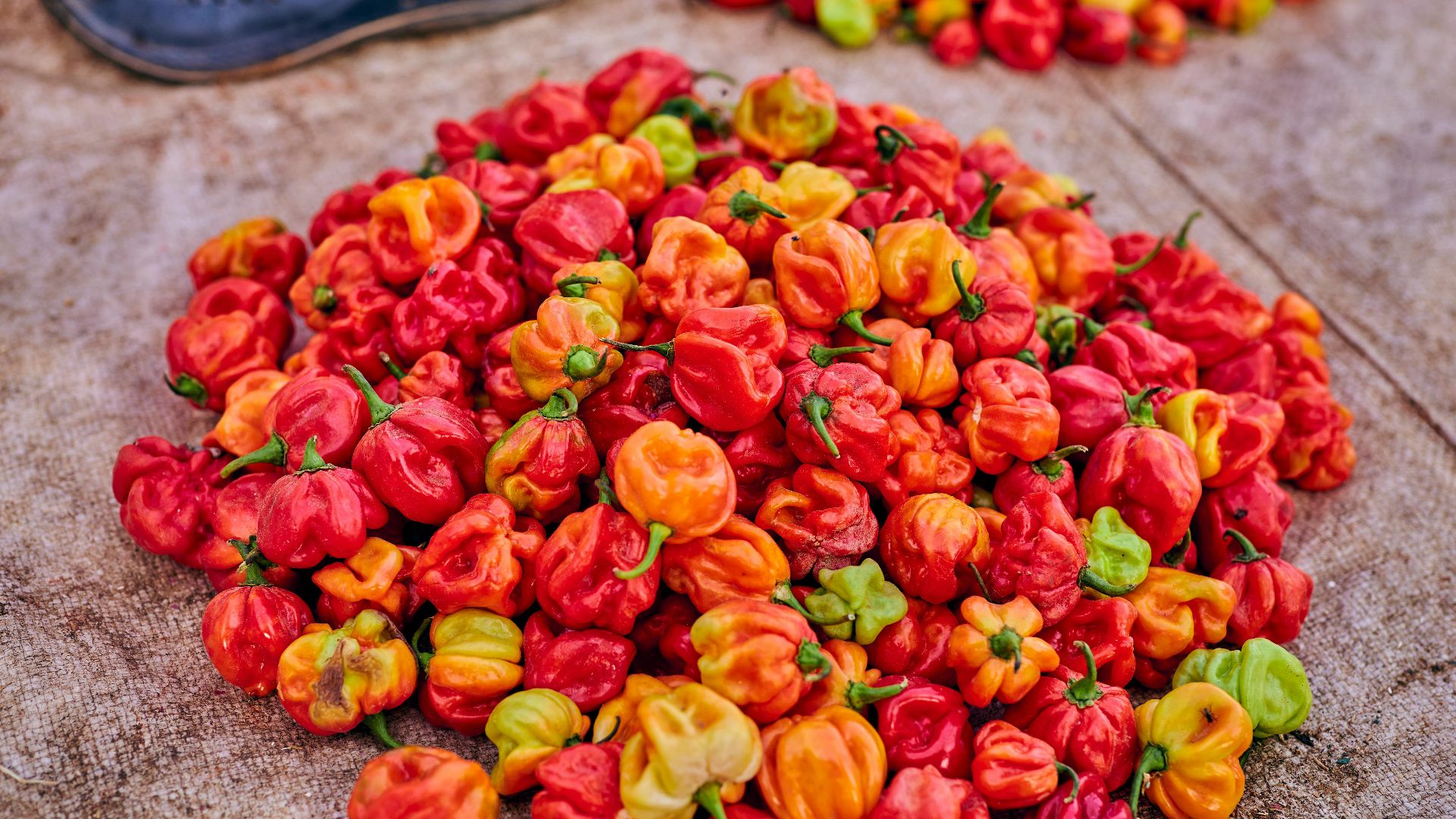 20. Misez sur les piments Carolina Reaper pour un piquant extrême