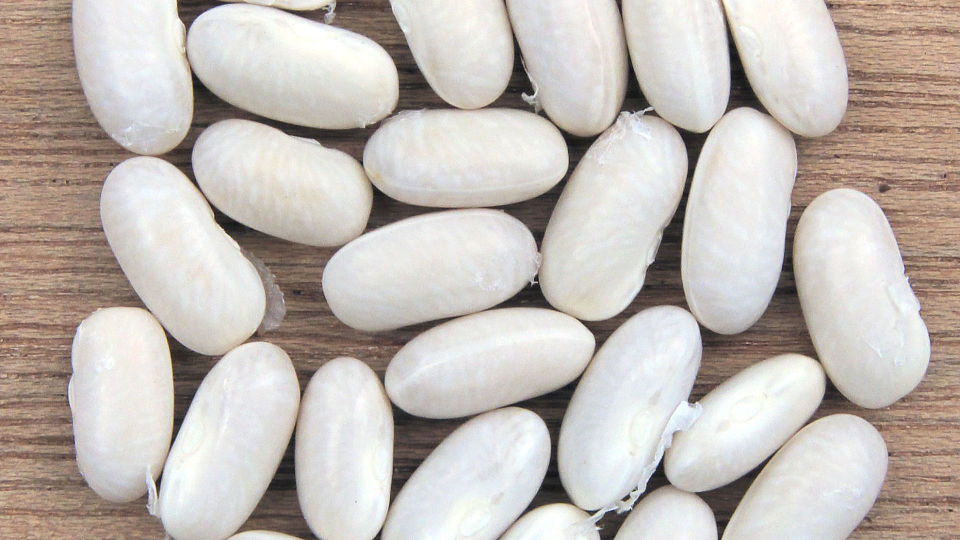 10. Tarte aux haricots blancs de la Marine
