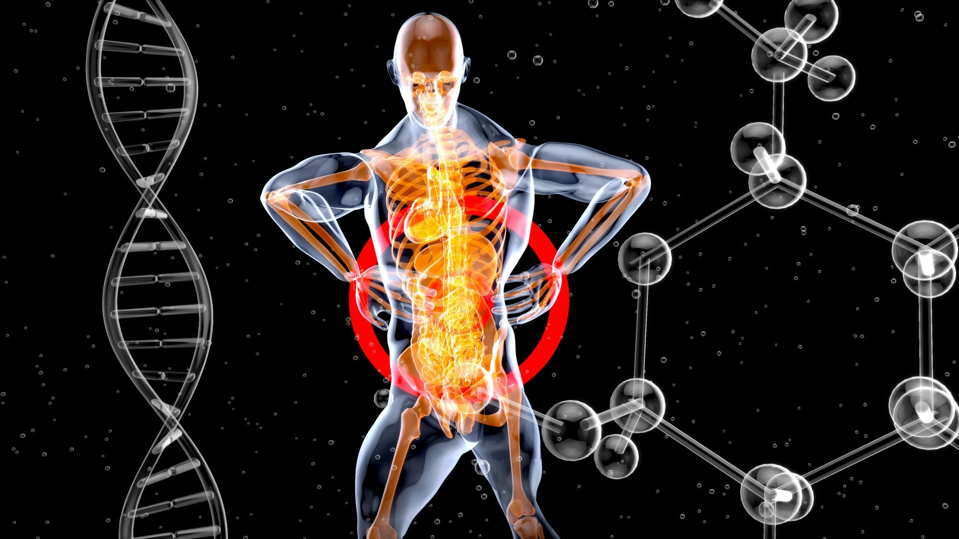 5. Ils réduisent l'inflammation