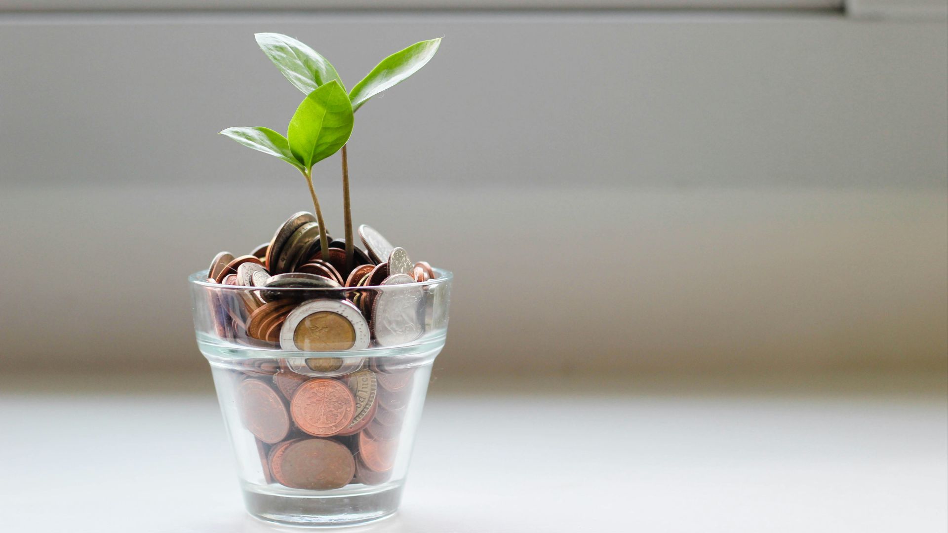 4. Vous disposez de davantage de moyens pour faire fructifier vos revenus