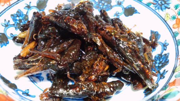 6. Tsukudani de criquets