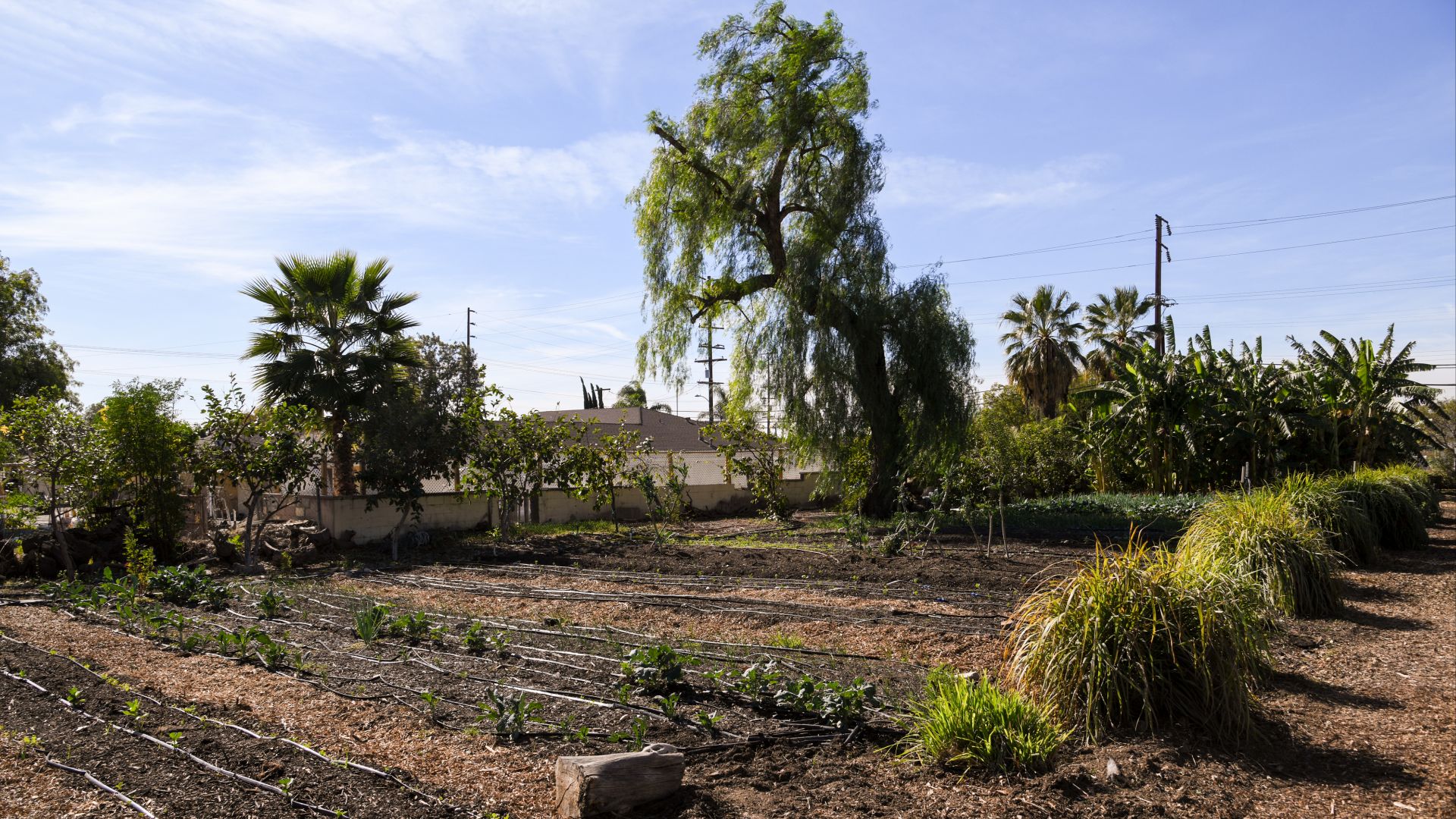 12. Cal-Organic Farms, États-Unis