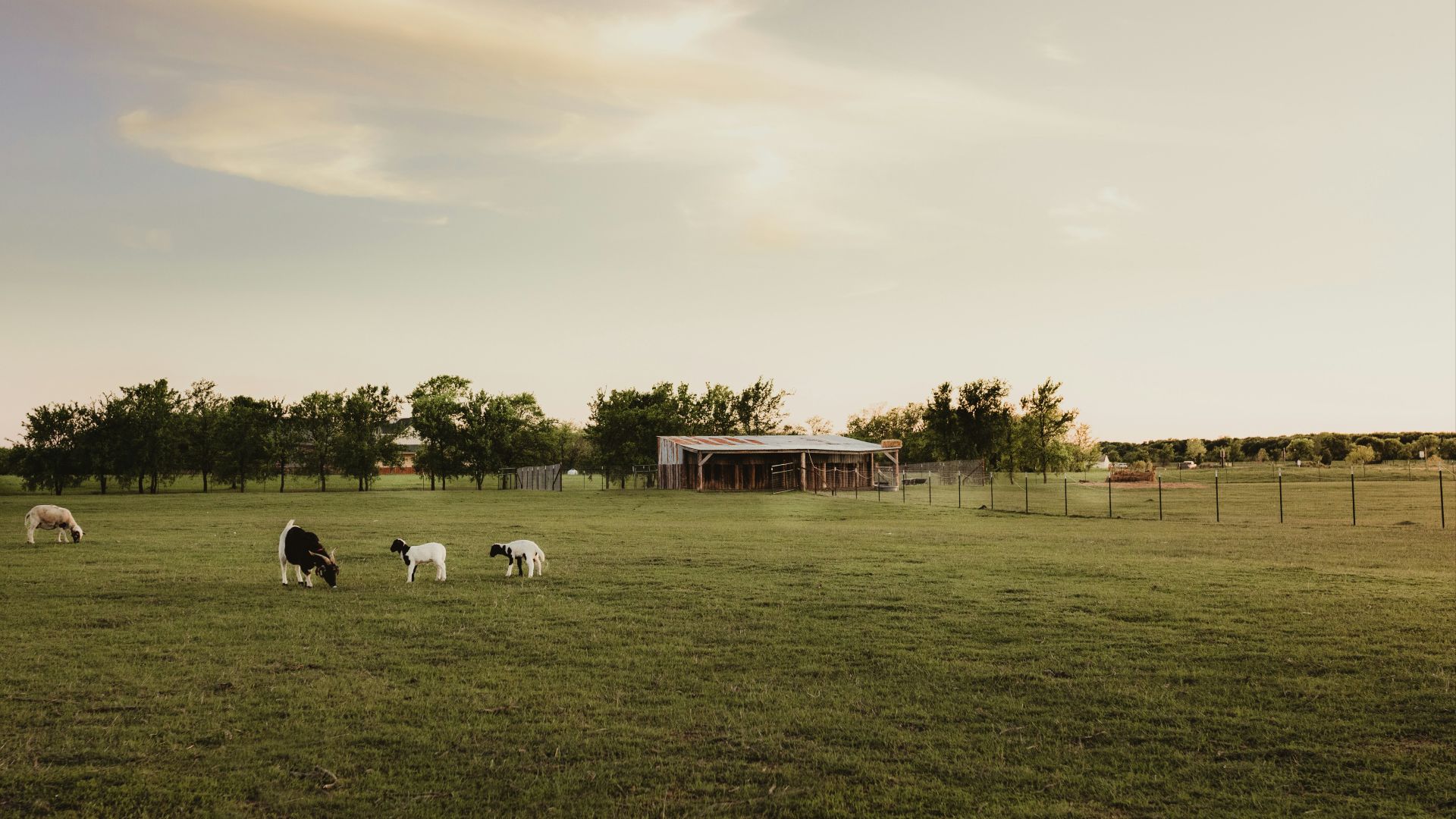 1. Crown Point Pastoral Company, Australie