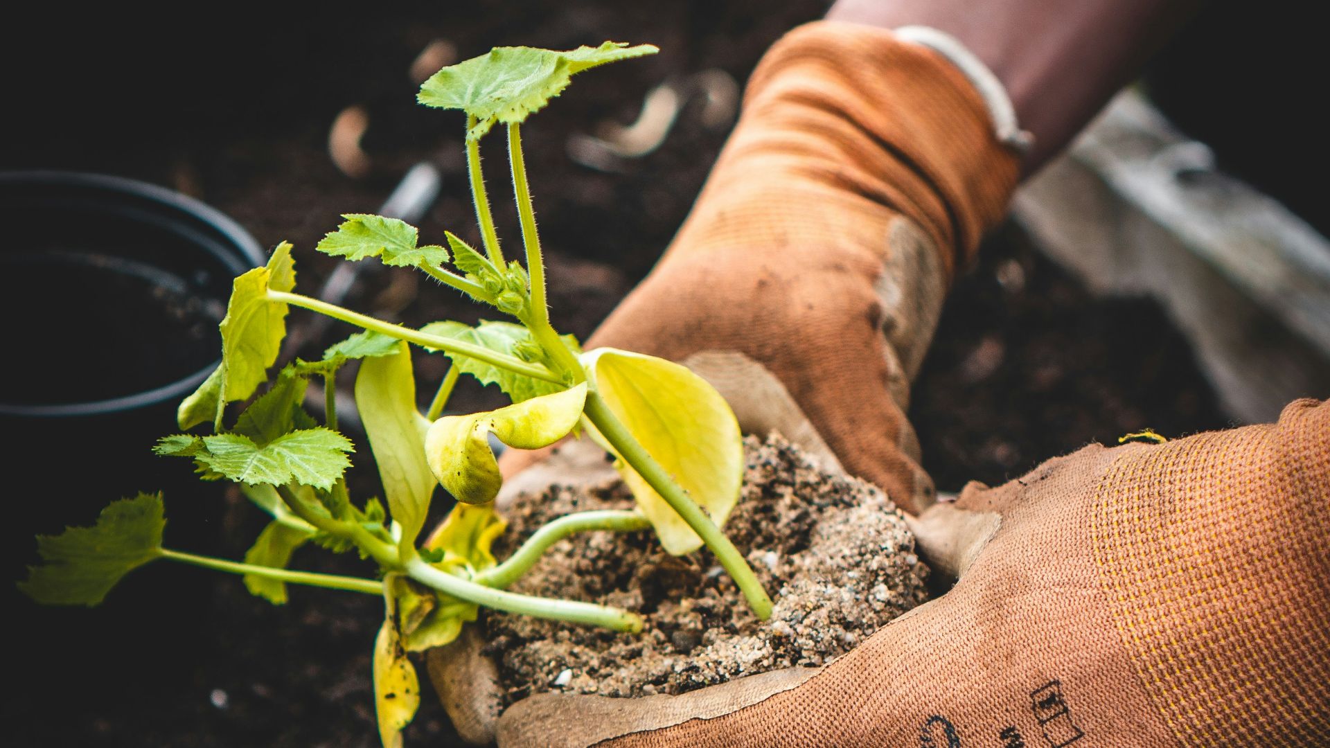 2. Considérez le jardinage comme une séance d'entraînement
