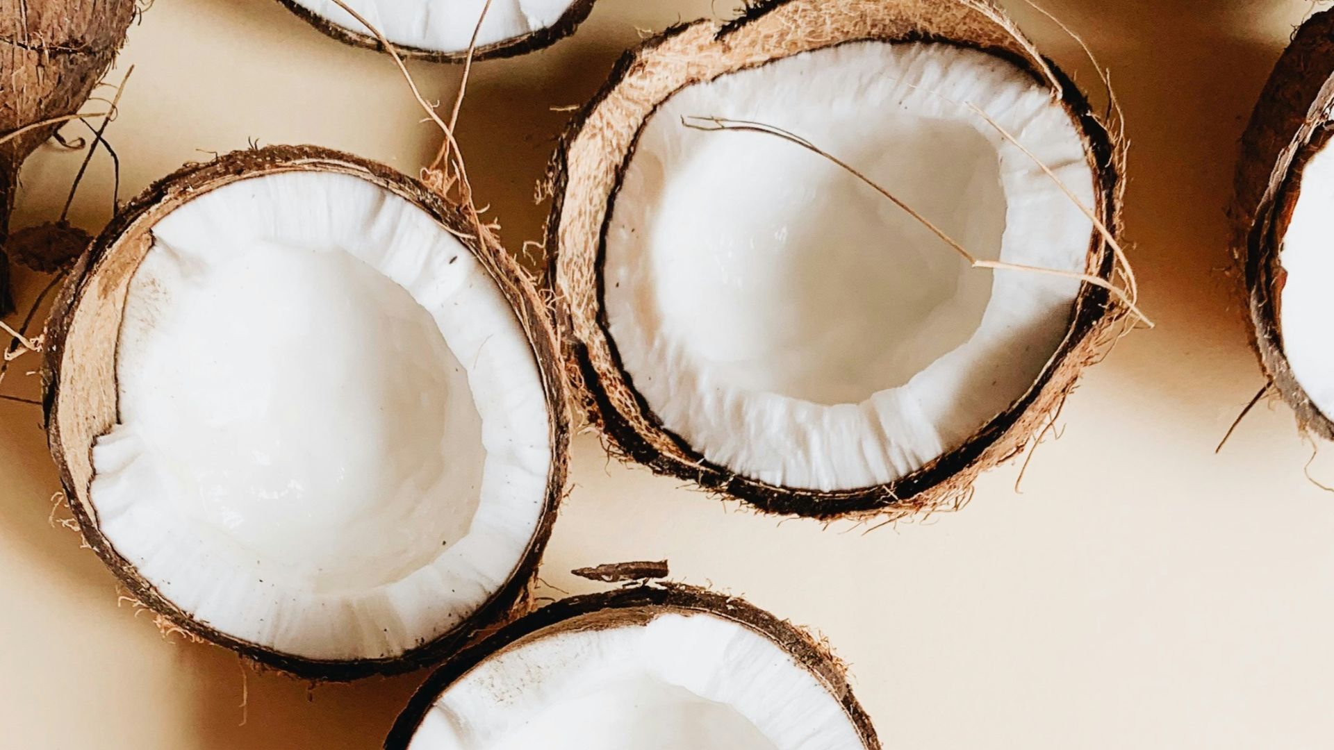 17. Chair de noix de coco séchée