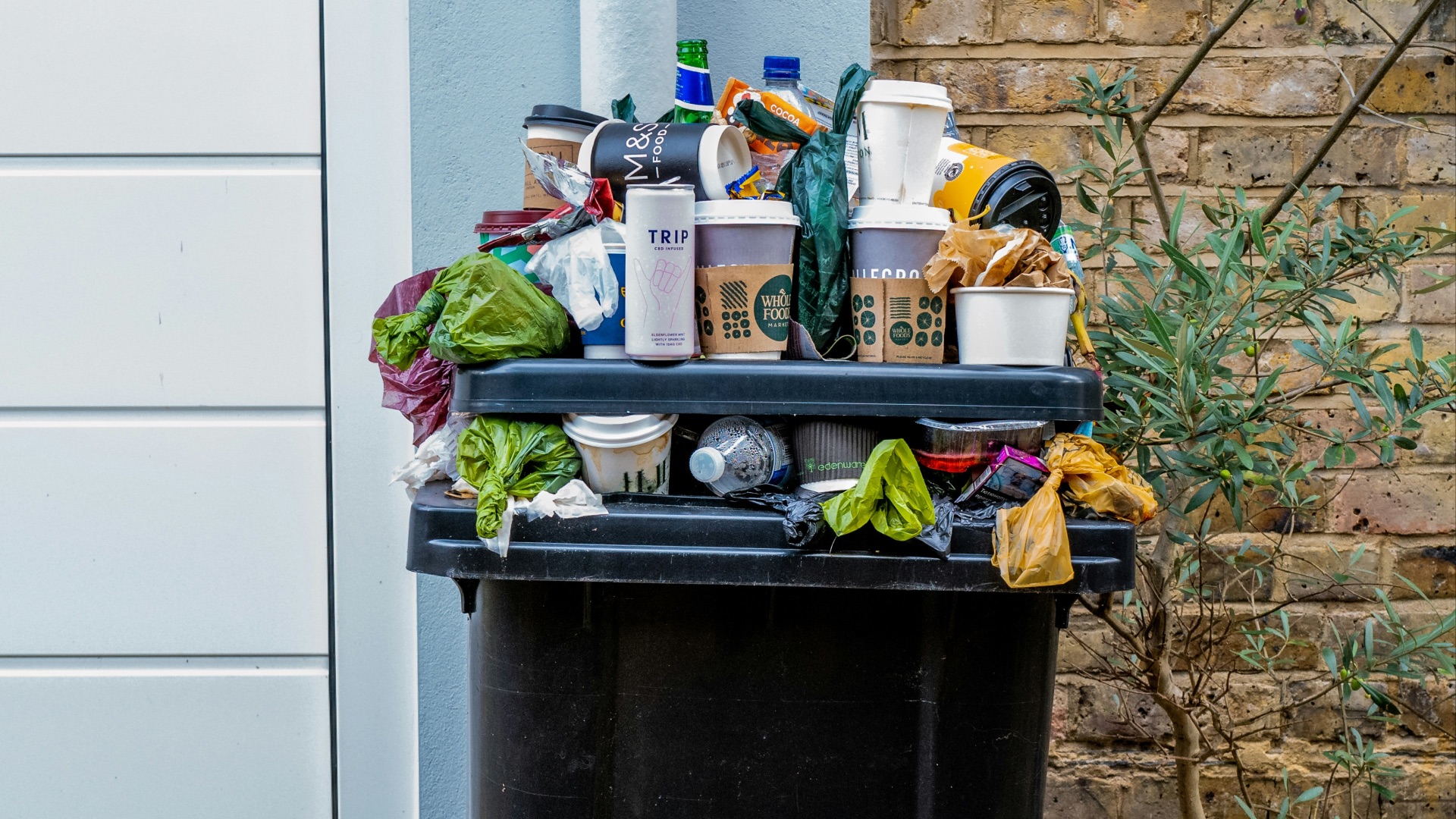 7. Sortez régulièrement les poubelles