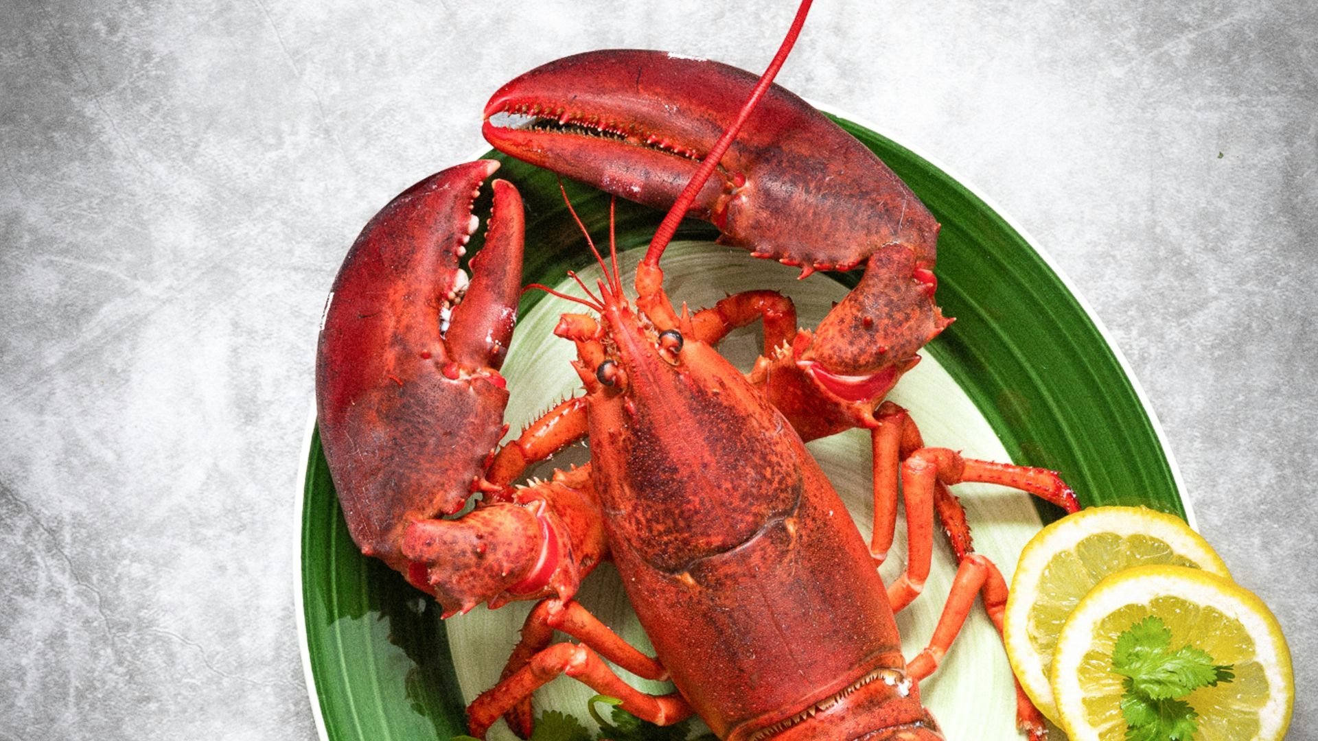 8. Homard