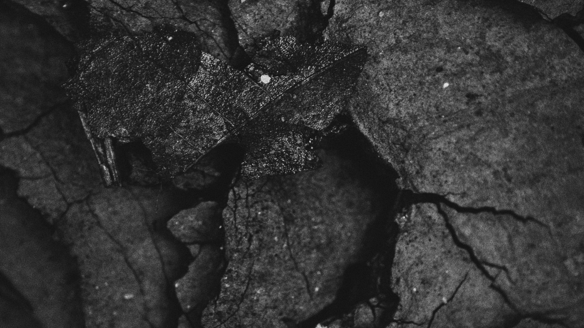 12. Briques de charbon compressé