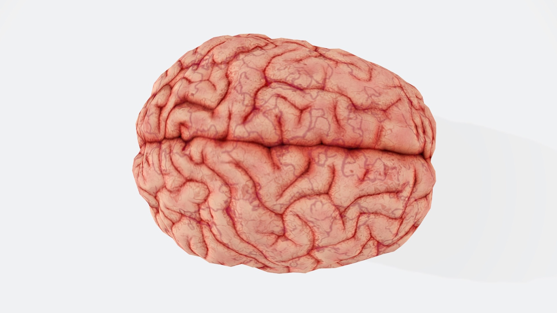 1. Ils ne mesurent pas l'intelligence avec précision