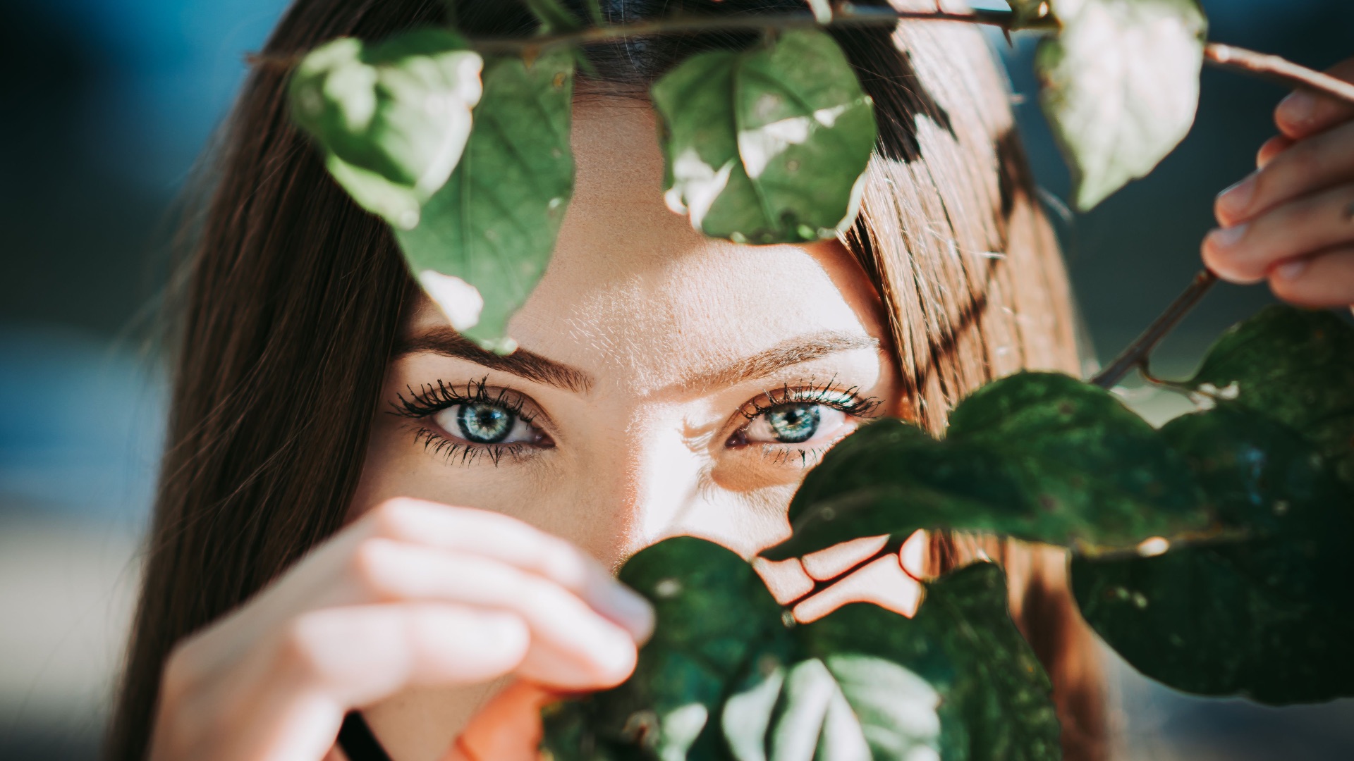 5. Elles se déclinent en modèles discrets et d'aspect naturel
