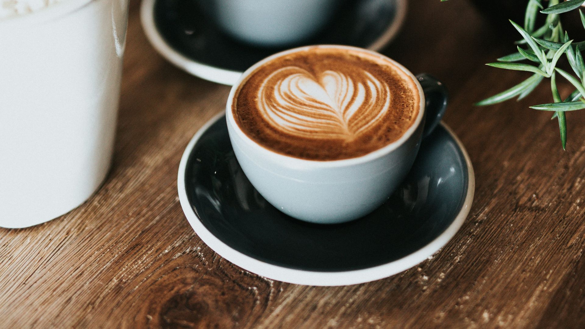 8. Café