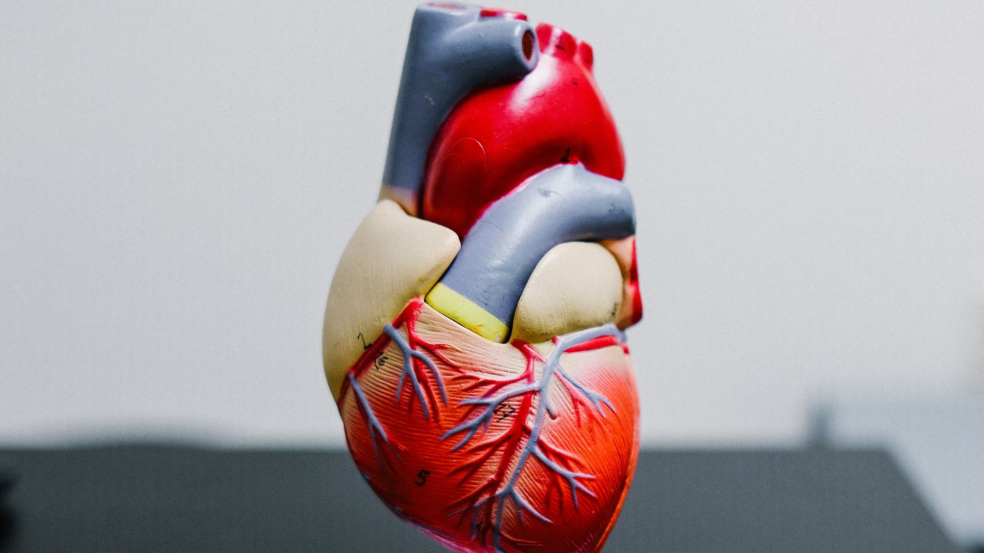 6. Penser que le vin rouge est indispensable à la santé cardiaque