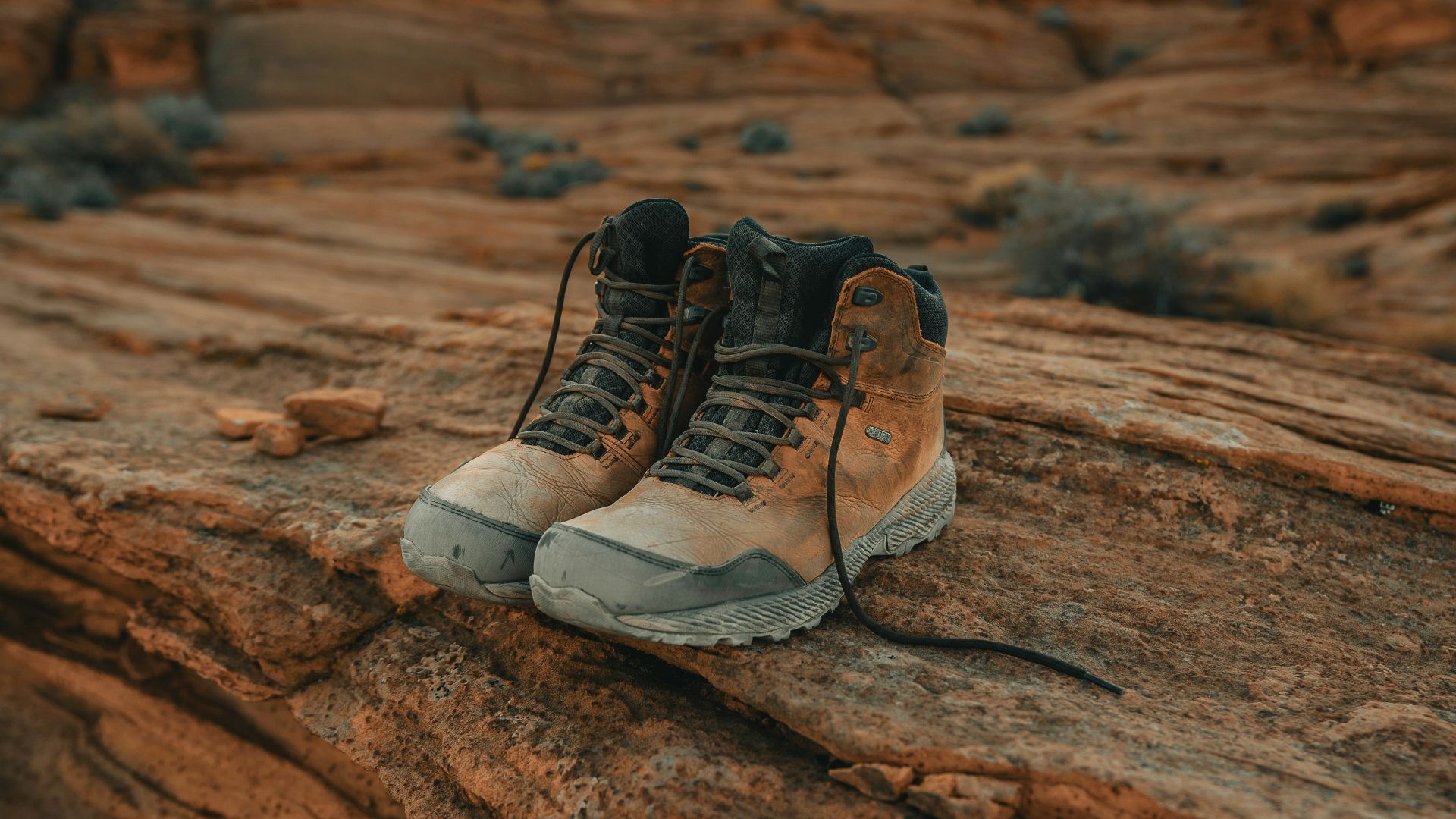 5. Bottes de combat du désert