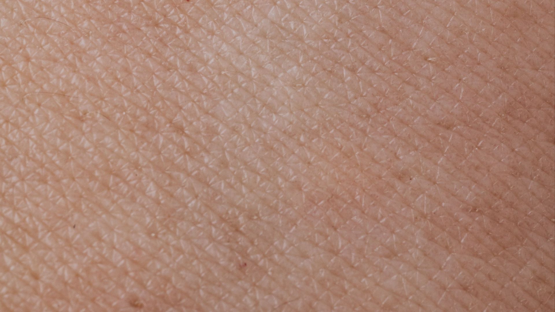 12. Il abrite des micro-organismes bénéfiques
