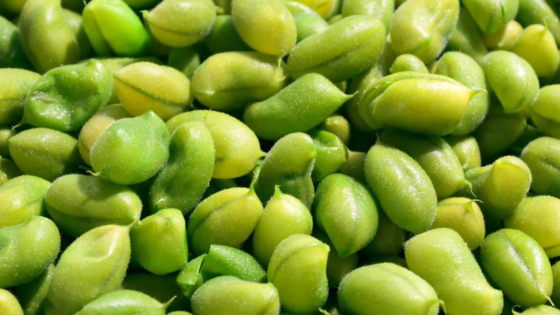 18. Edamame au sel de mer et au citron vert
