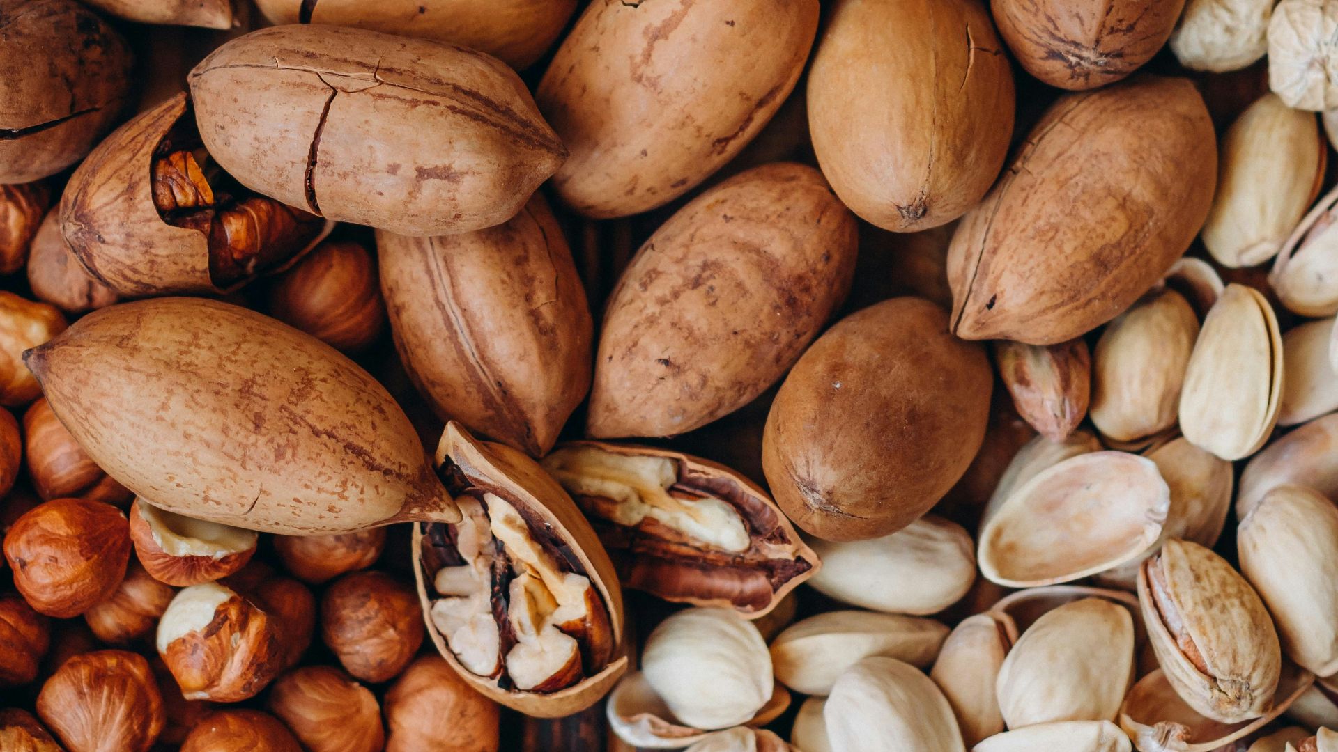 2. Les fruits à coque