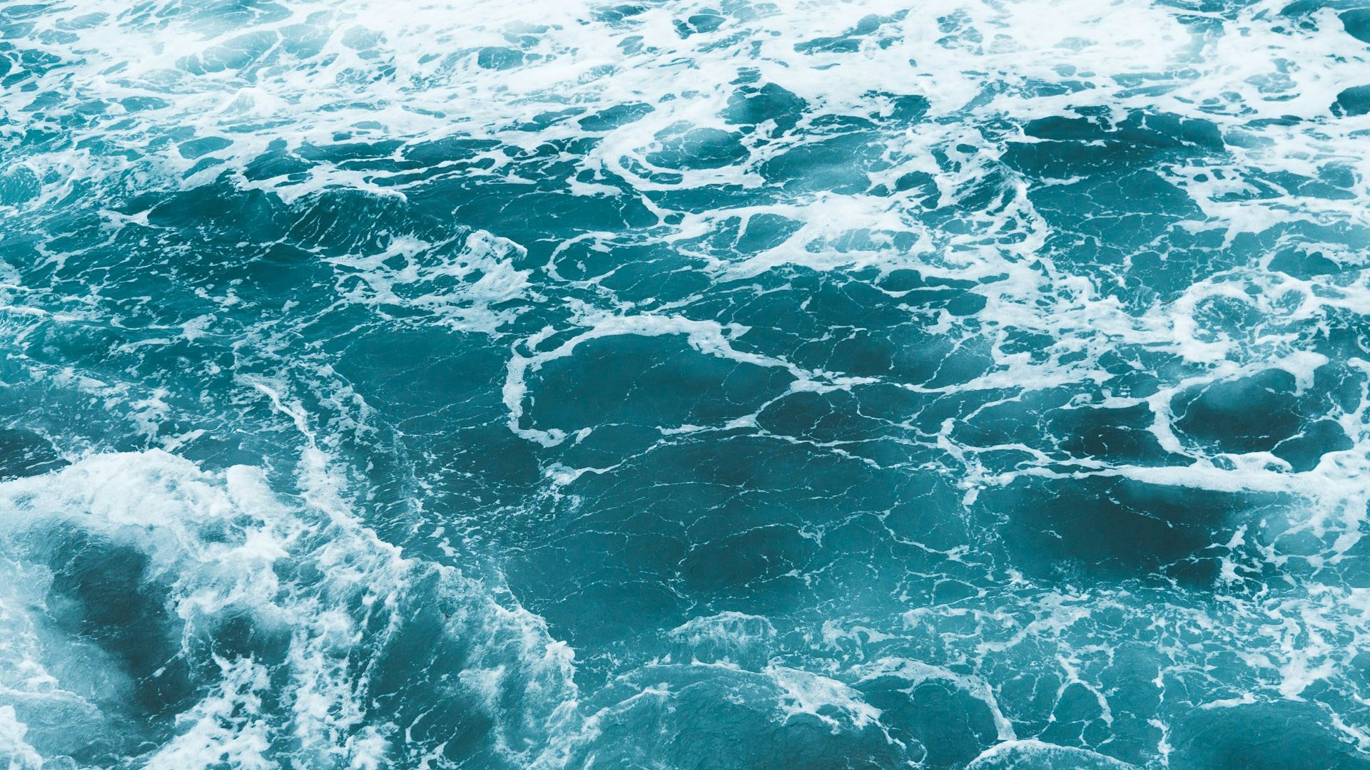 6. Écume de mer et bois flotté aux teintes chaudes