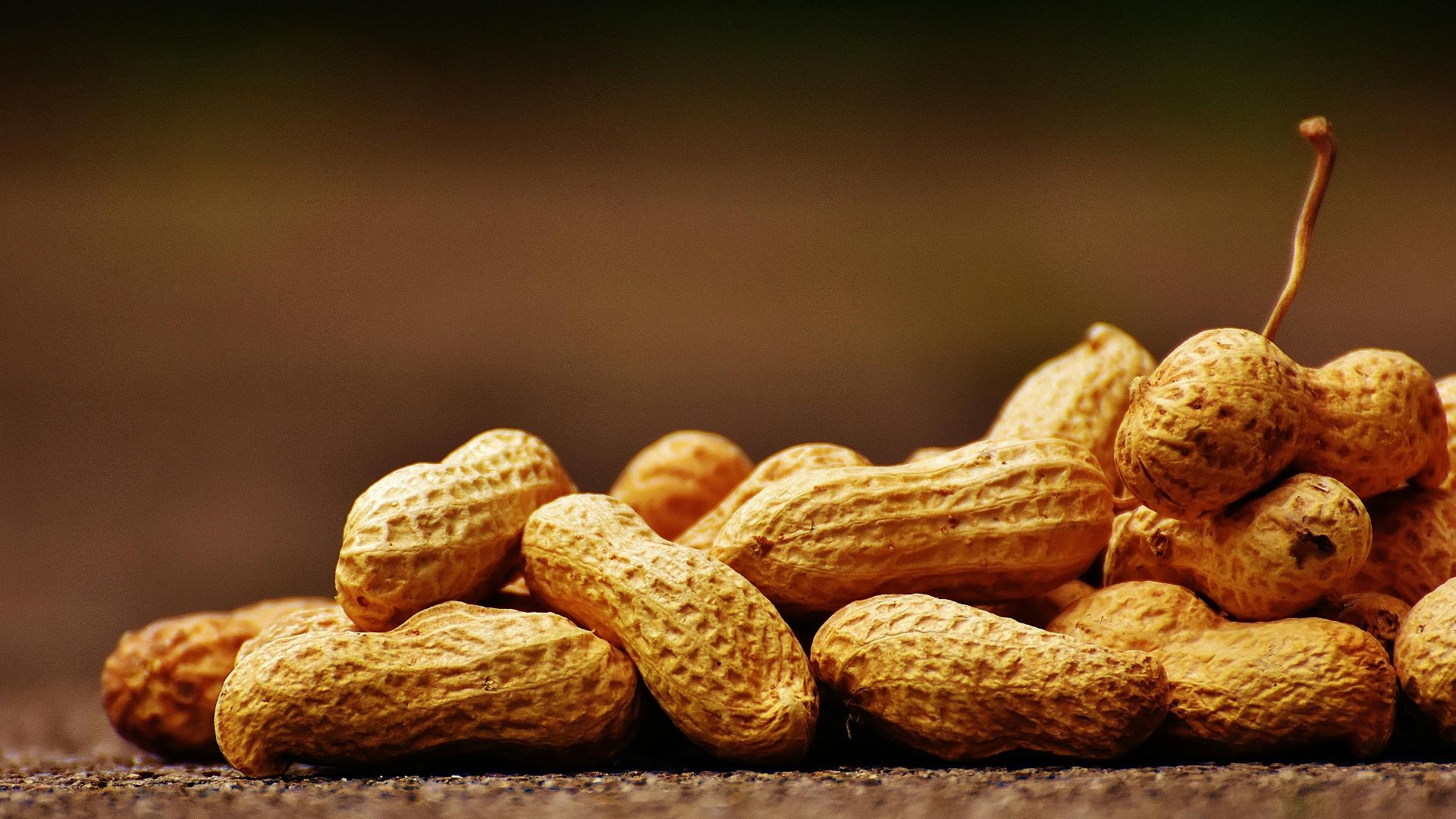 7. La demande relative à l'allergie n'a pas été prise en compte