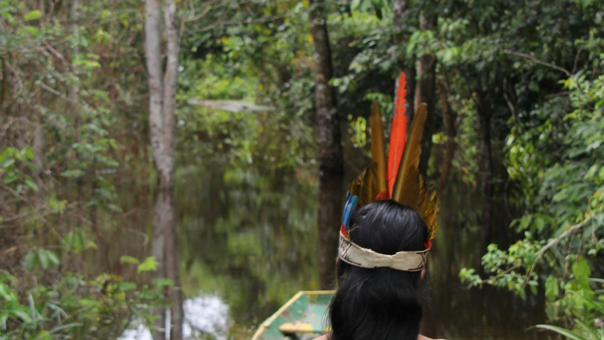 4. La restauration de la nature sauvage amazonienne