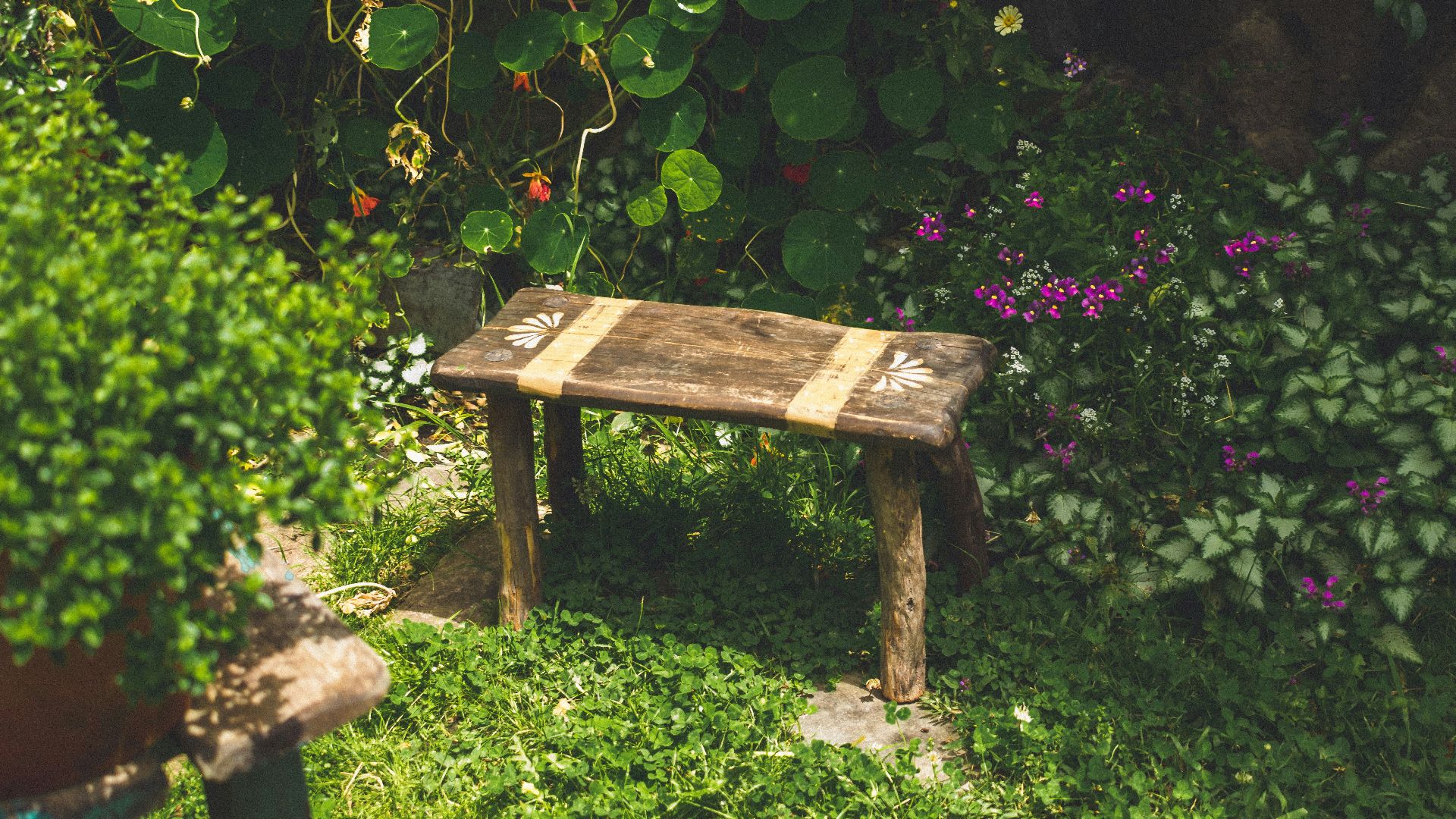 11. Utilisez un tabouret de jardin ou un repose-genoux