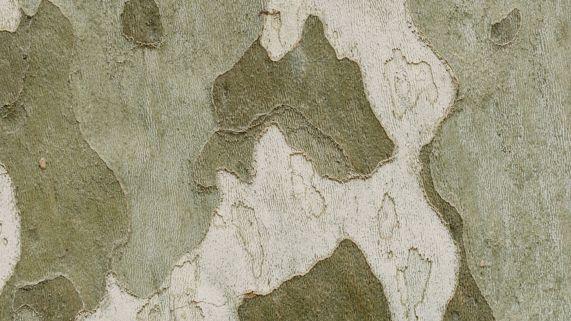 17. Le véhicule tout-terrain aux couleurs de camouflage