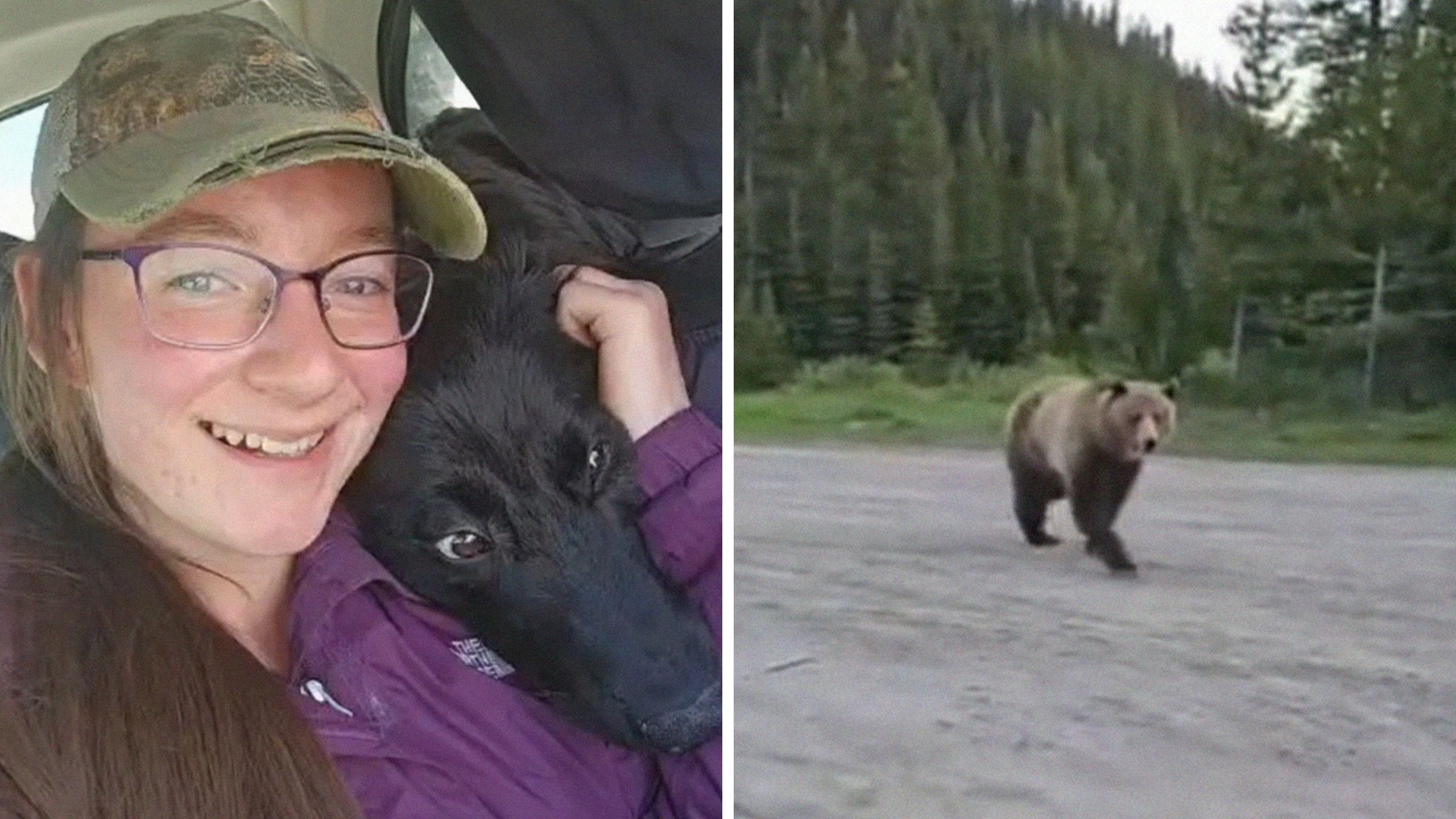 ‘No! Go away!’: Woman walks her husky mix. Then she has a harrowing encounter with a grizzly