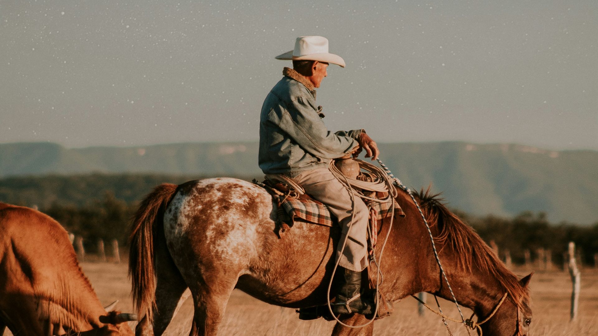 11. La culture des cow-boys était plus diversifiée