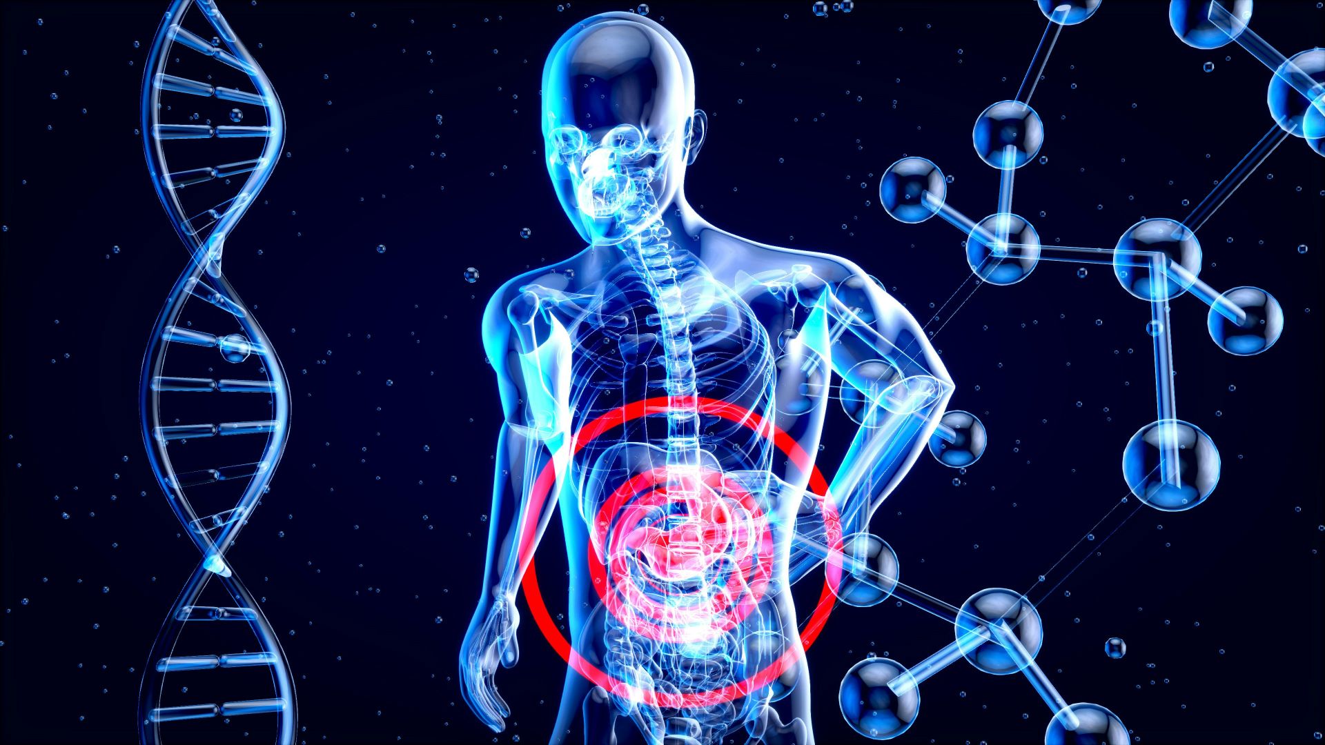 4. Ils nourrissent votre microbiote intestinal