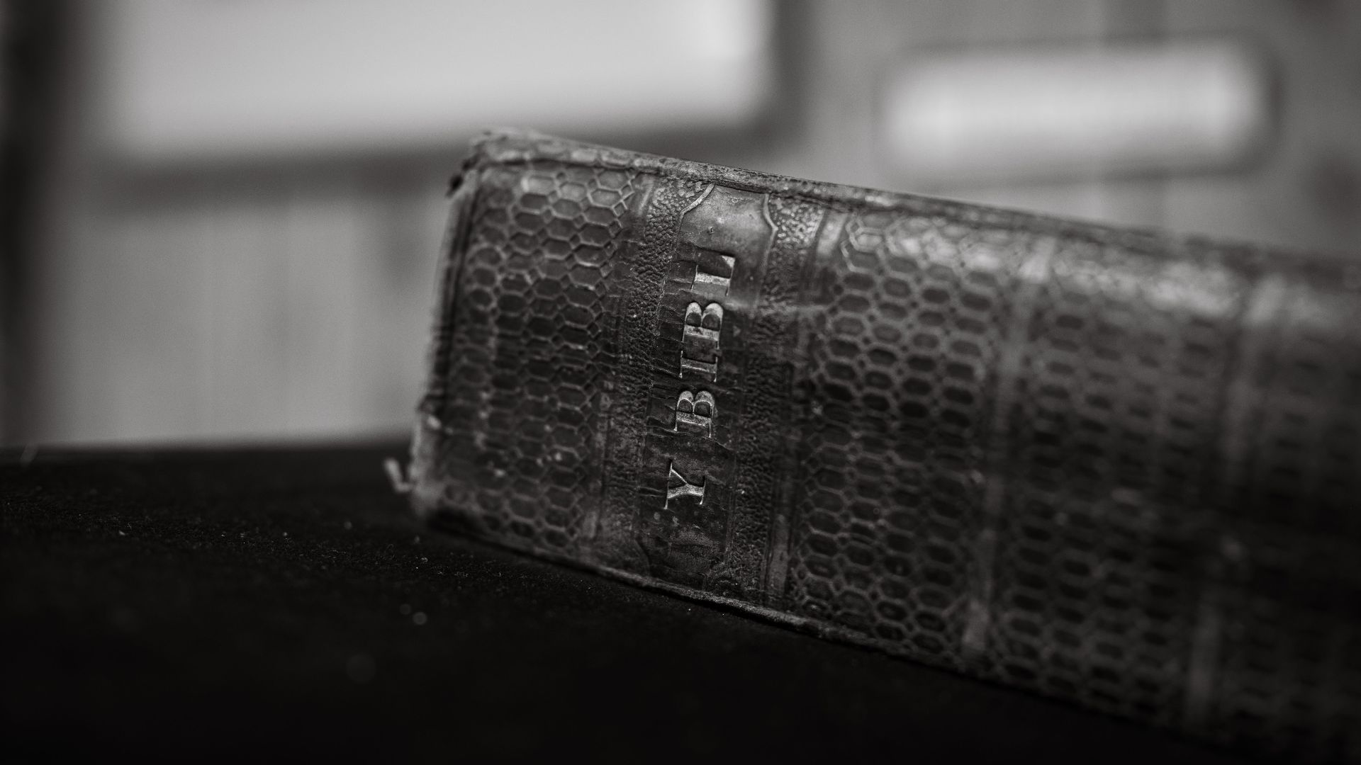 16. La Bible de famille