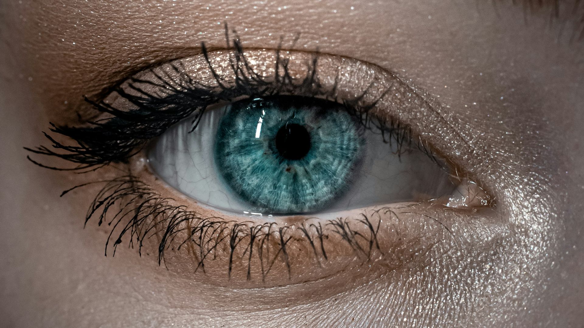 3. Les cils