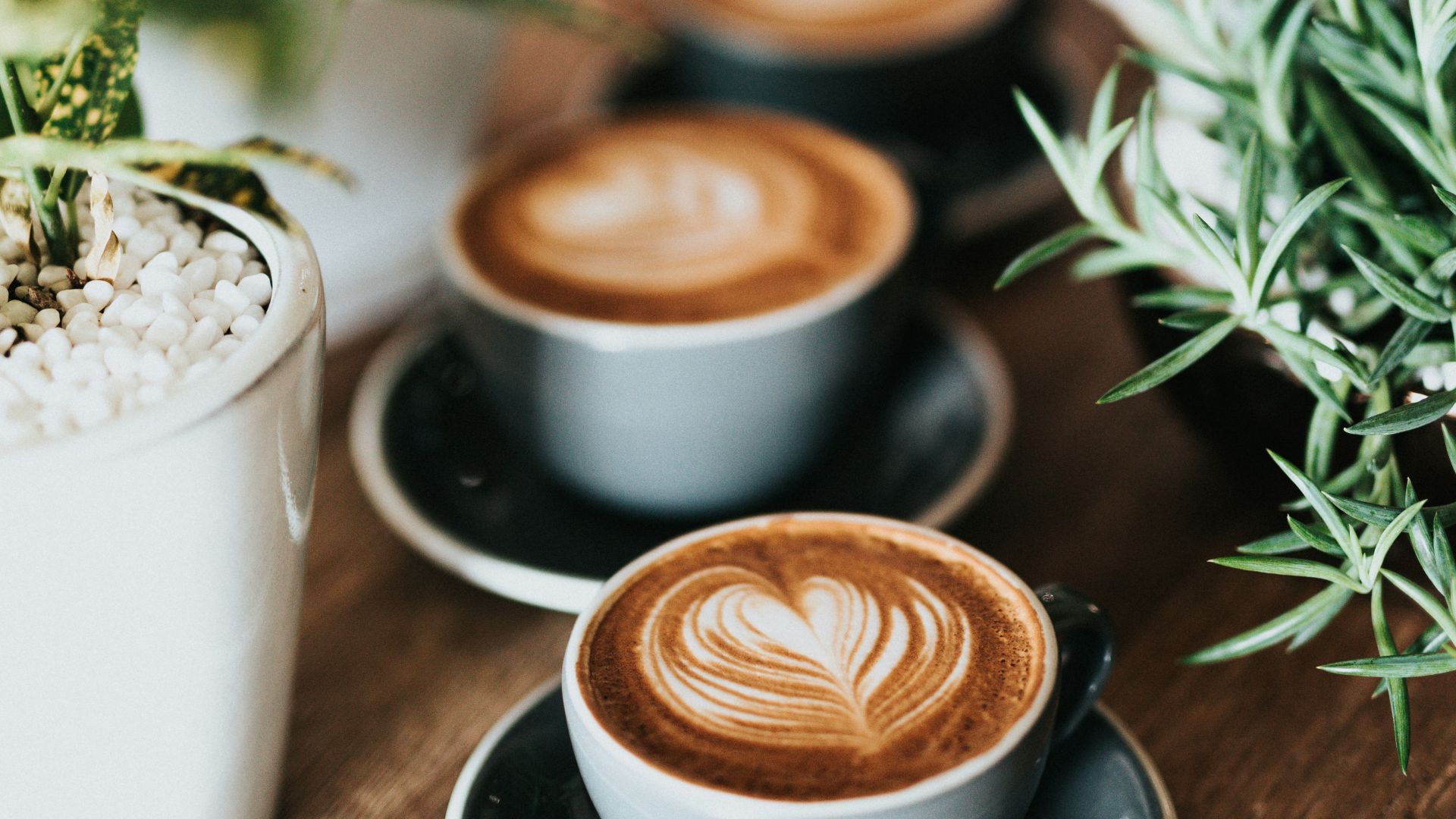 9. Les tentatives d'interdiction du café