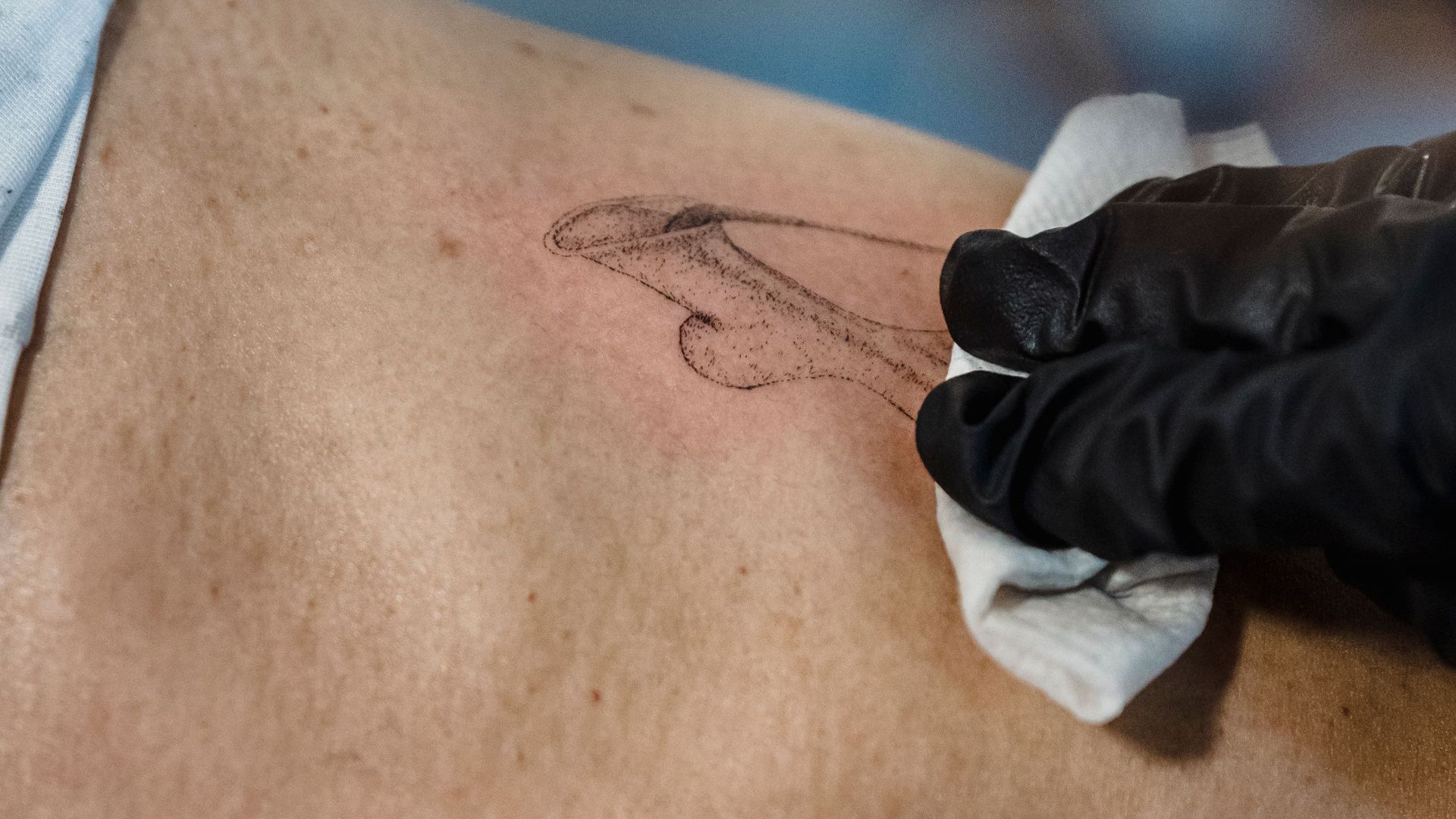 6. Des dauphins à la cheville
