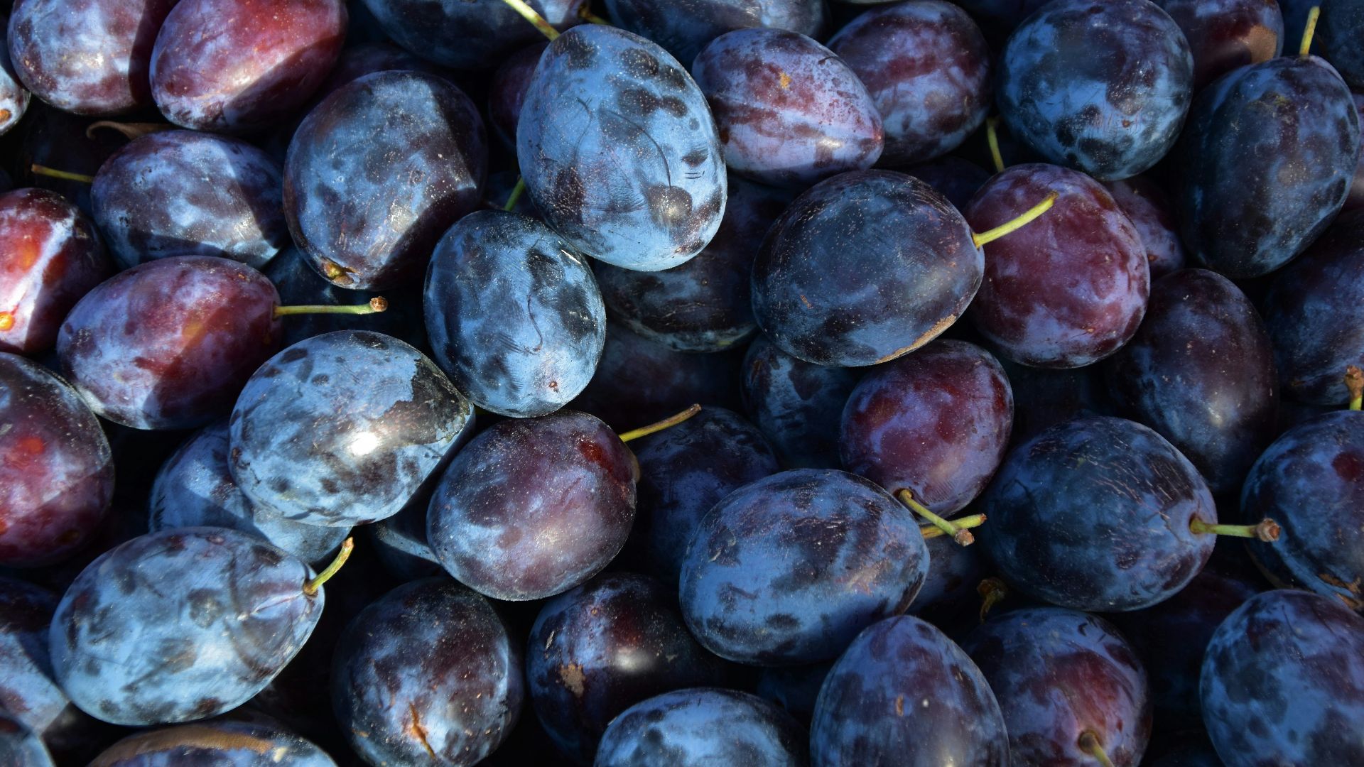 7. Jus de prune
