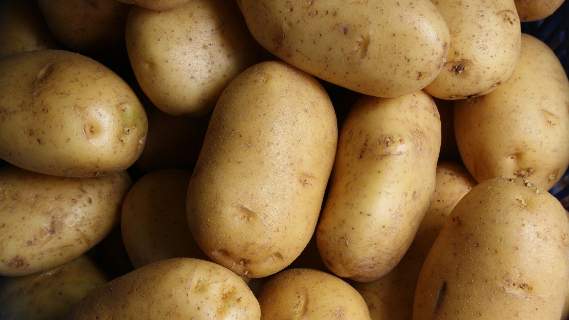 1. Pommes de terre