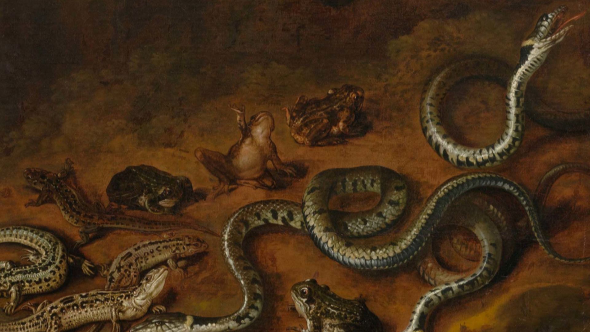 17. Les serpents
