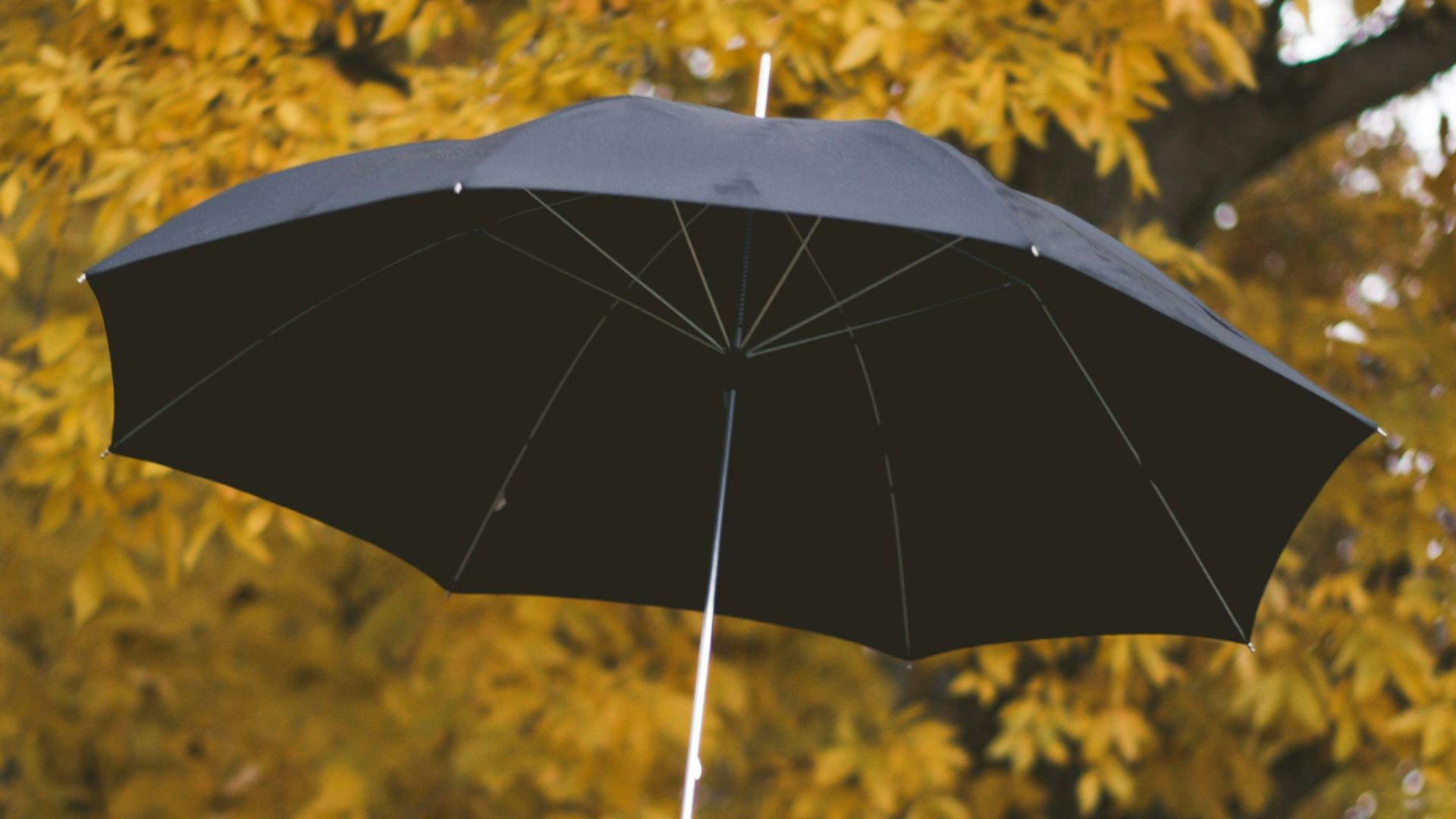 18. Des parapluies design pour les journées ensoleillées