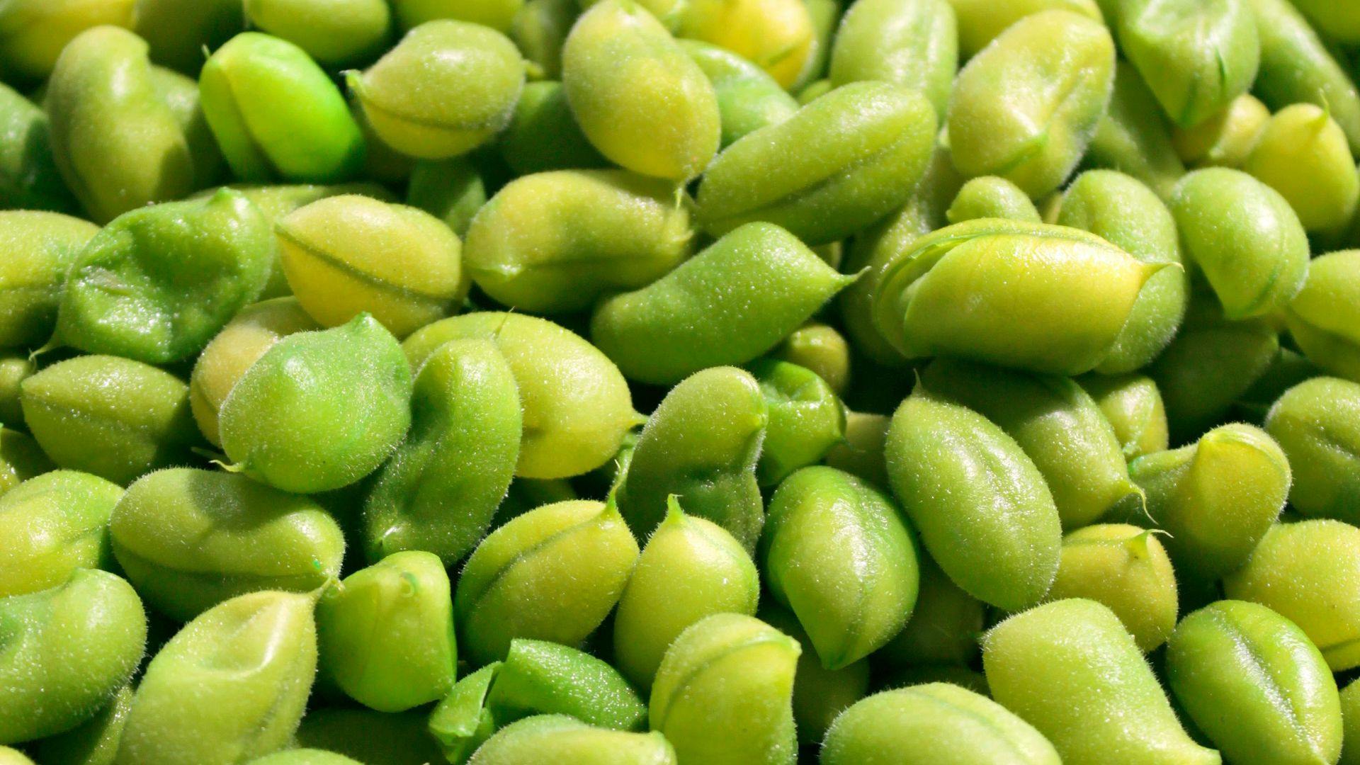 8. Edamame