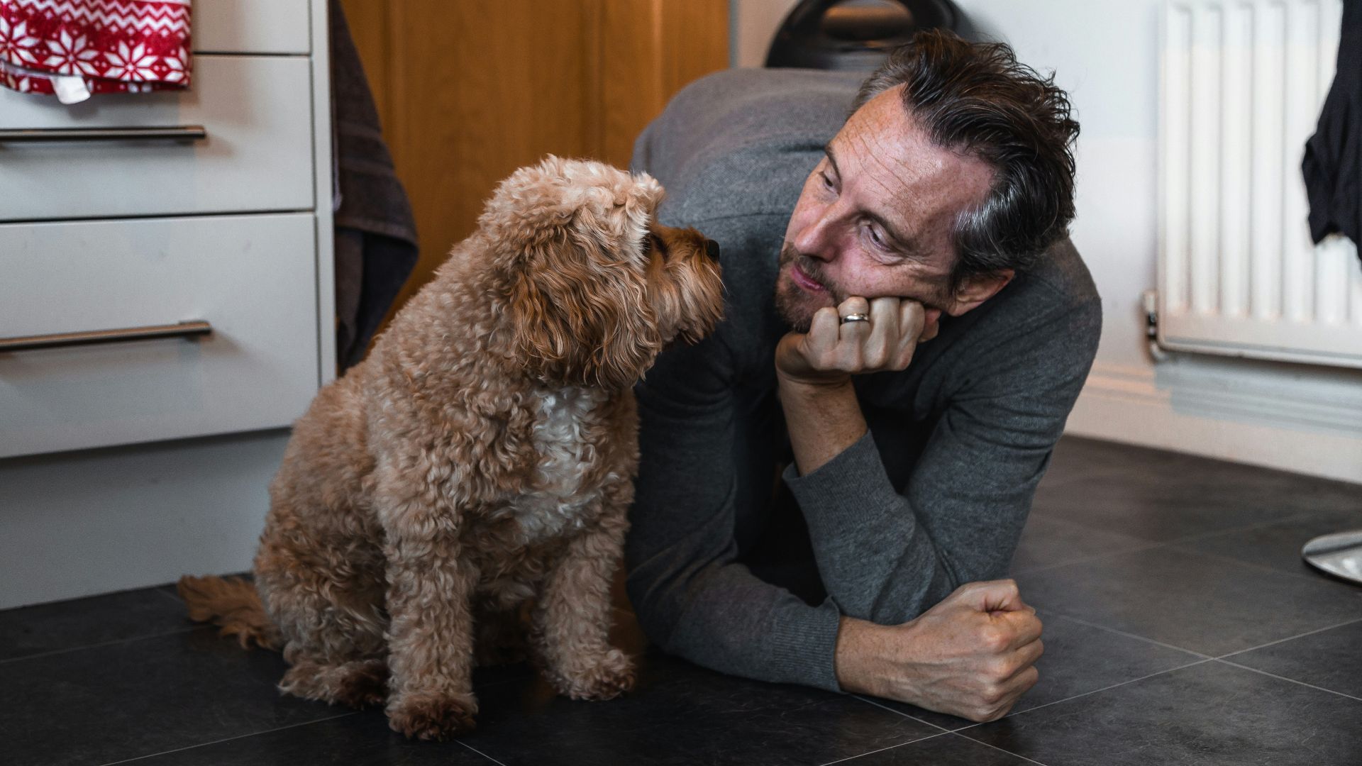 14. Il s'adoucit en présence d'animaux ou d'enfants
